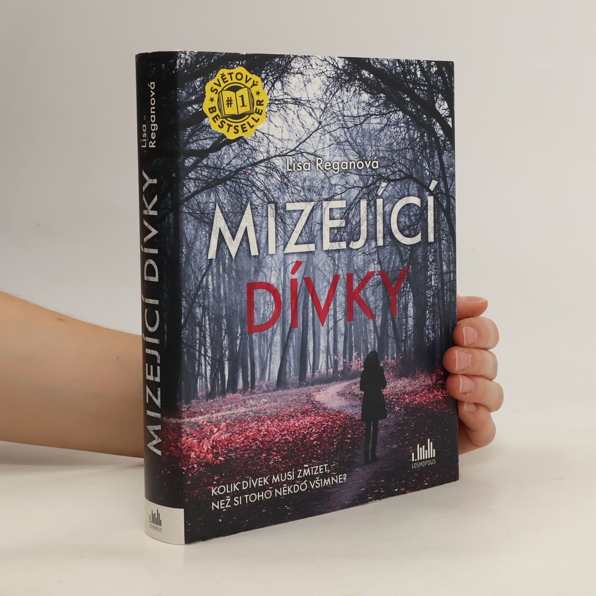 Lisa Regan Mizející dívky