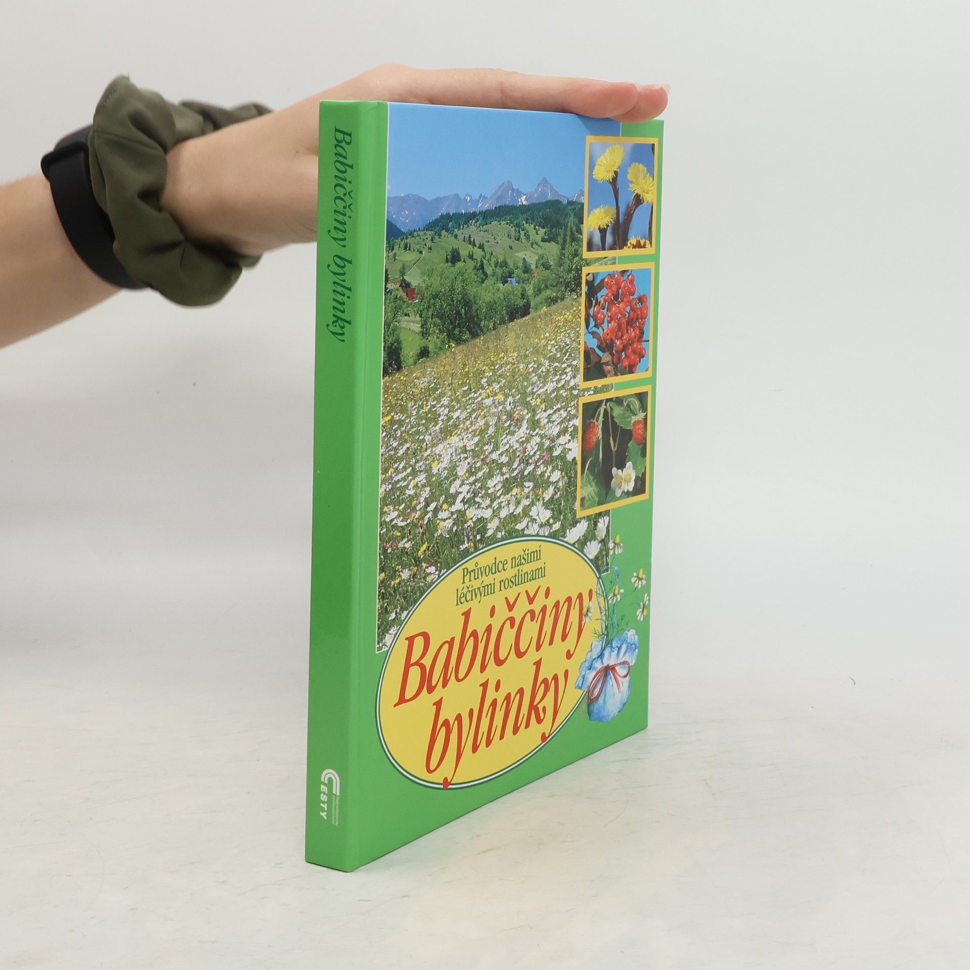 Babiččiny bylinky: Průvodce našimi léčivými rostlinami