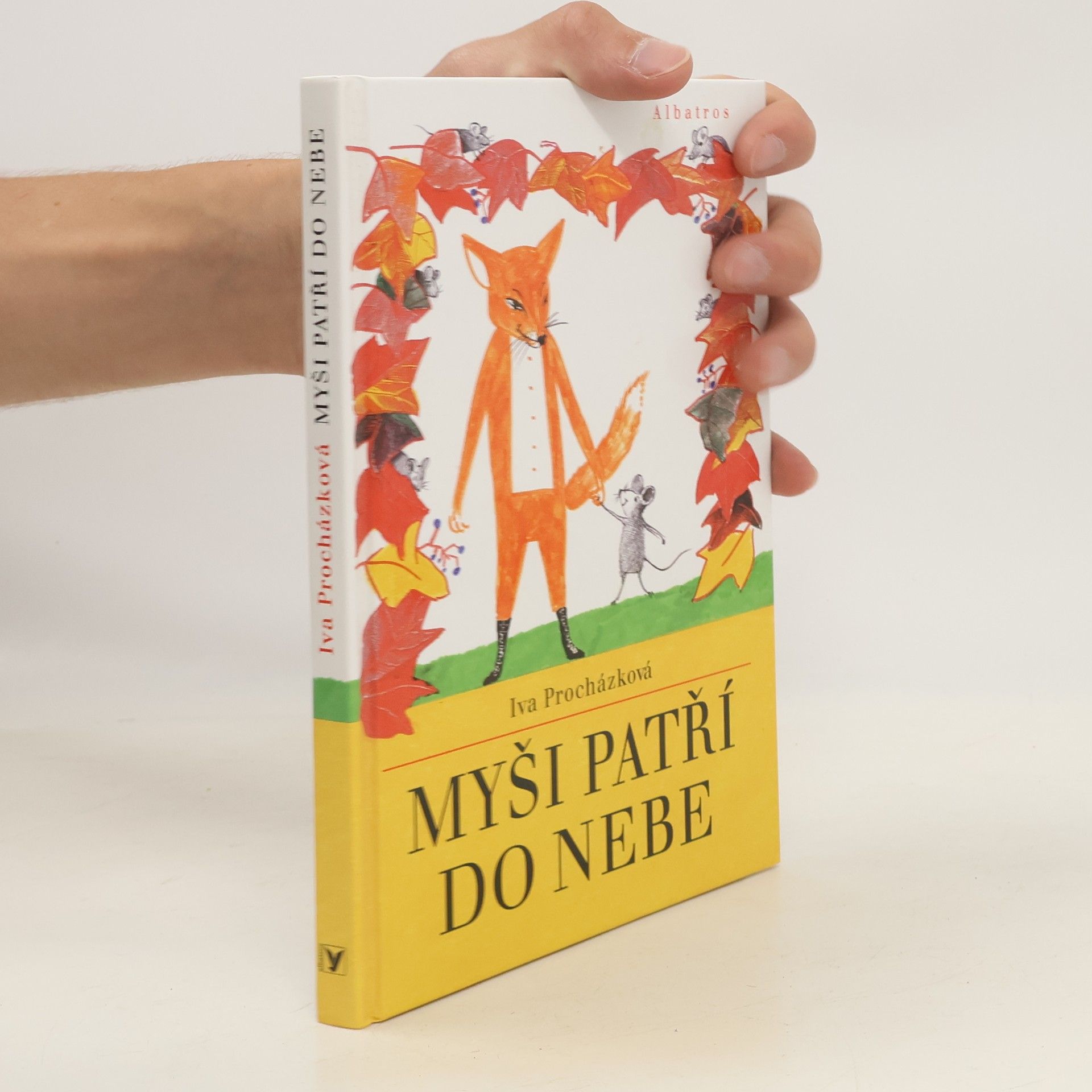 Iva Procházková Myši patří do nebe