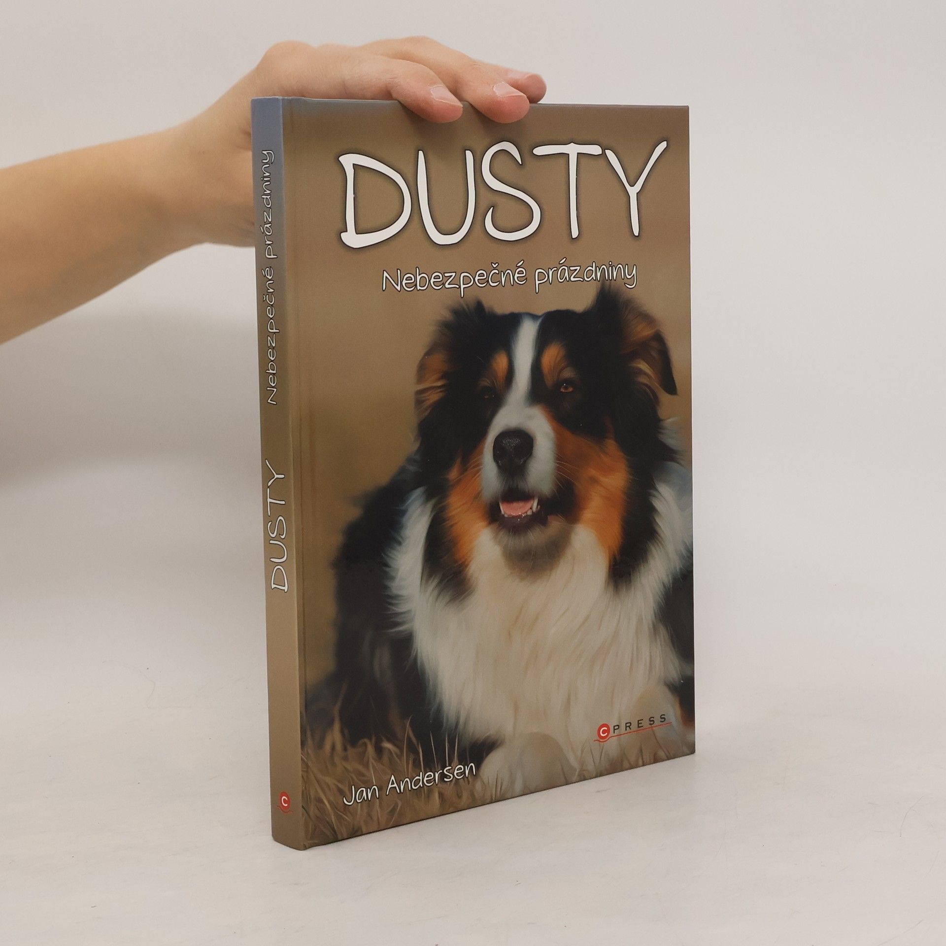 Wolfram Hänel Dusty: Nebezpečné prázdniny