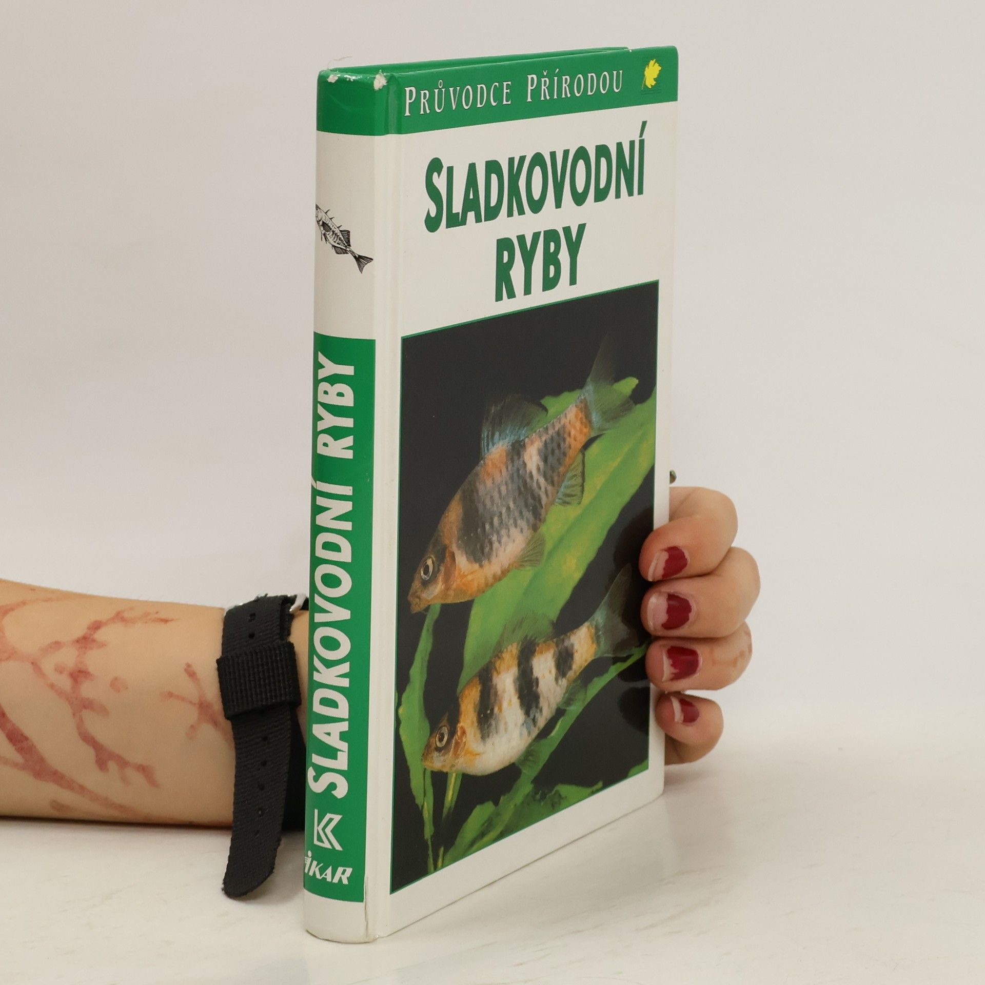 Autores varios Sladkovodní ryby v evropských vodách