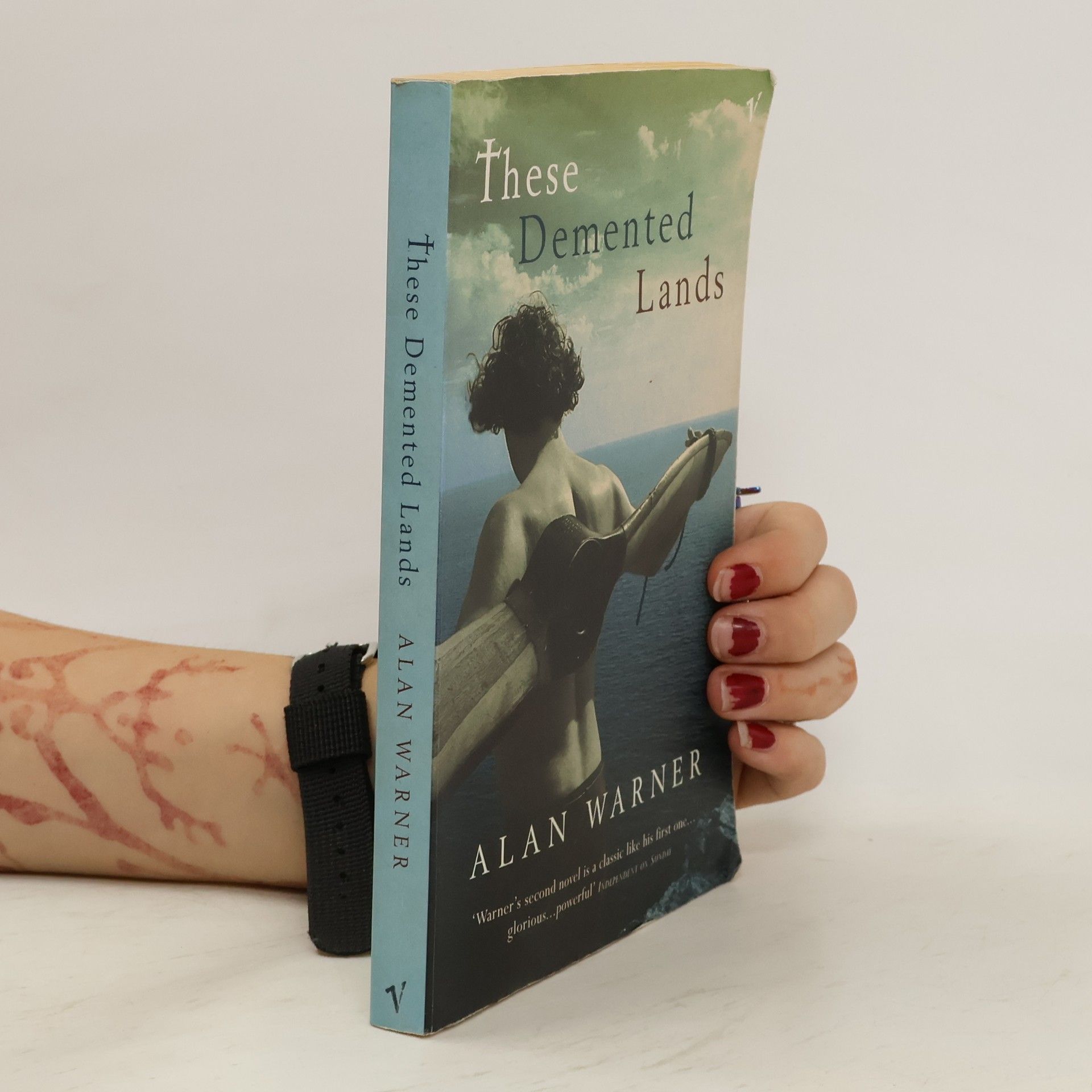 Alan Warner These Demented Lands