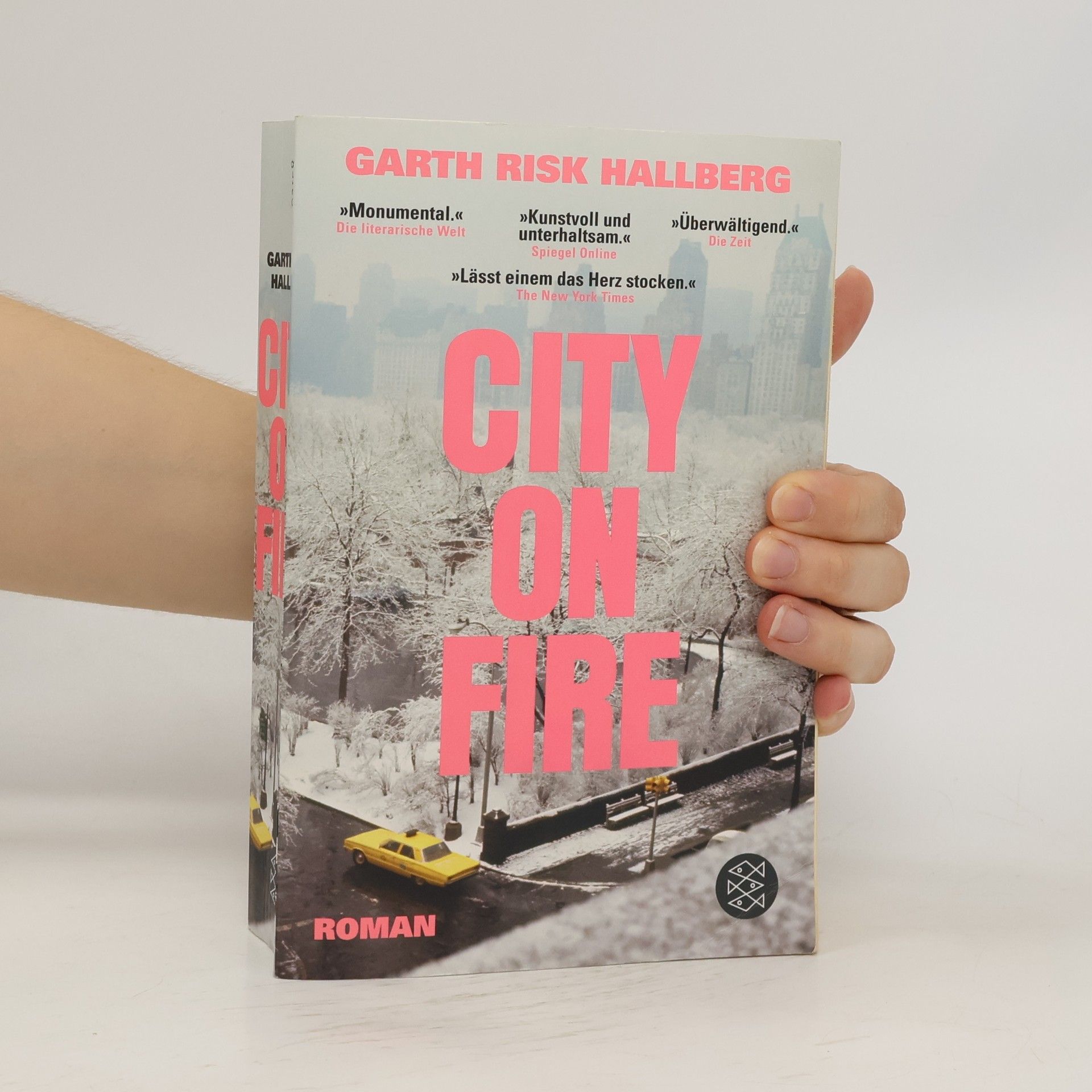 Garth Risk Hallberg City on fire