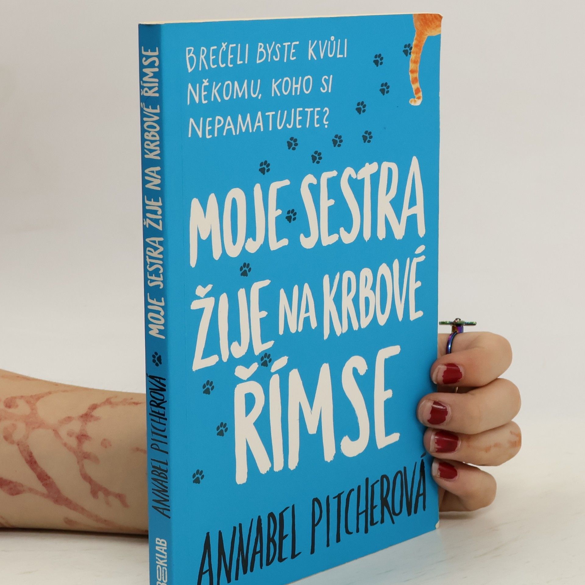 Annabel Pitcher Moje sestra žije na krbové římse