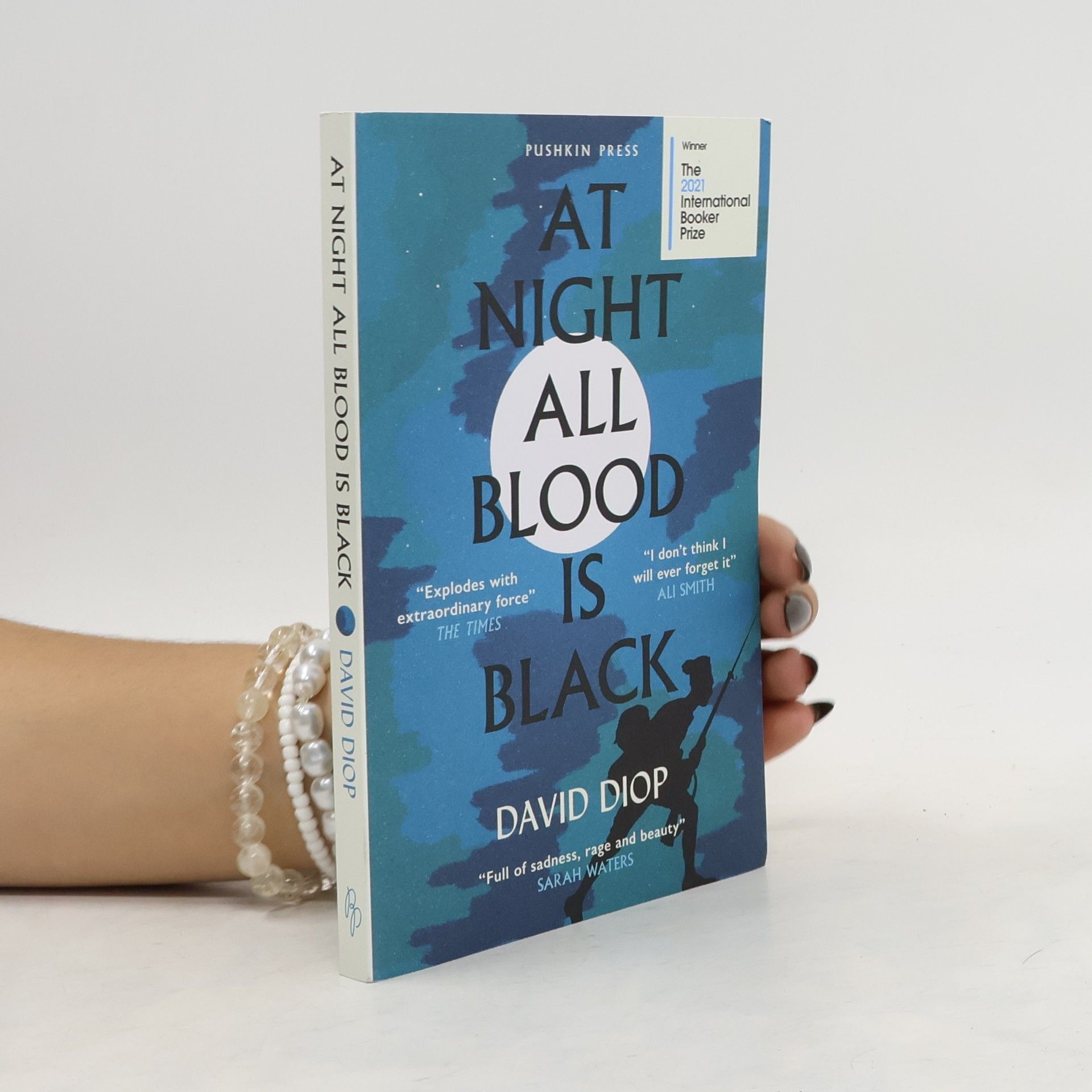 David Diop At Night All Blood Is Black