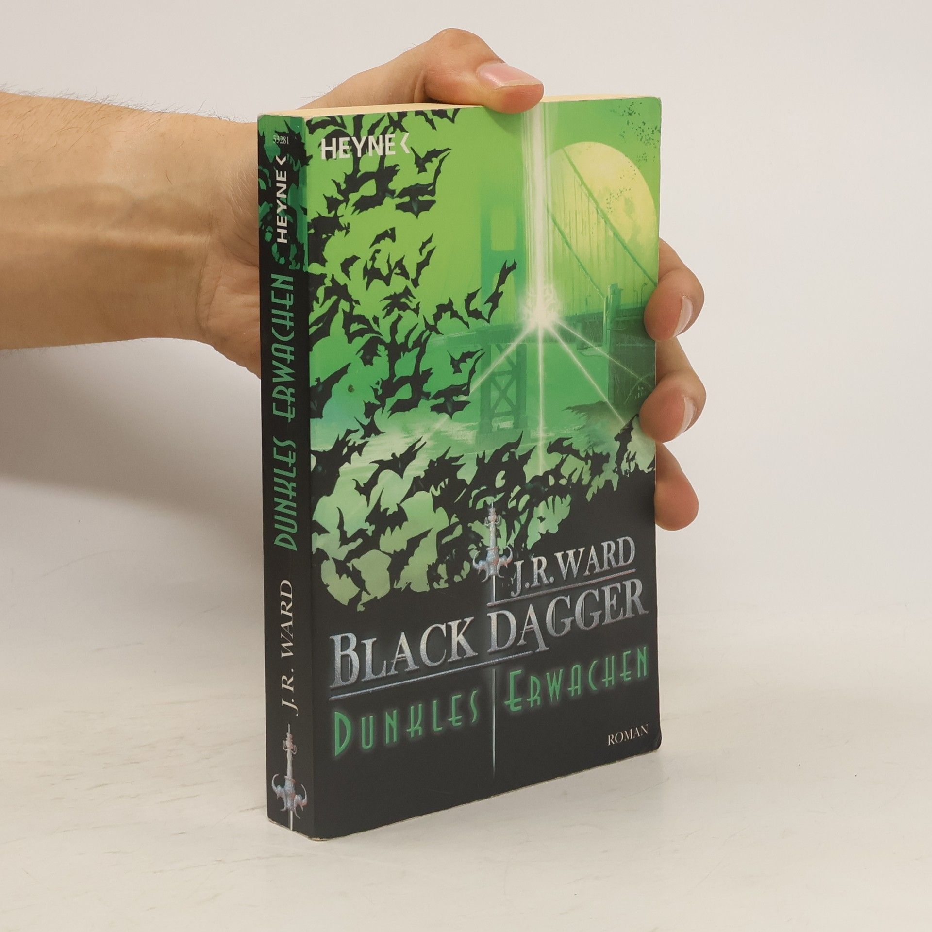 Jessica Bird Dunkles Erwachen: ein Black-Dagger-Roman