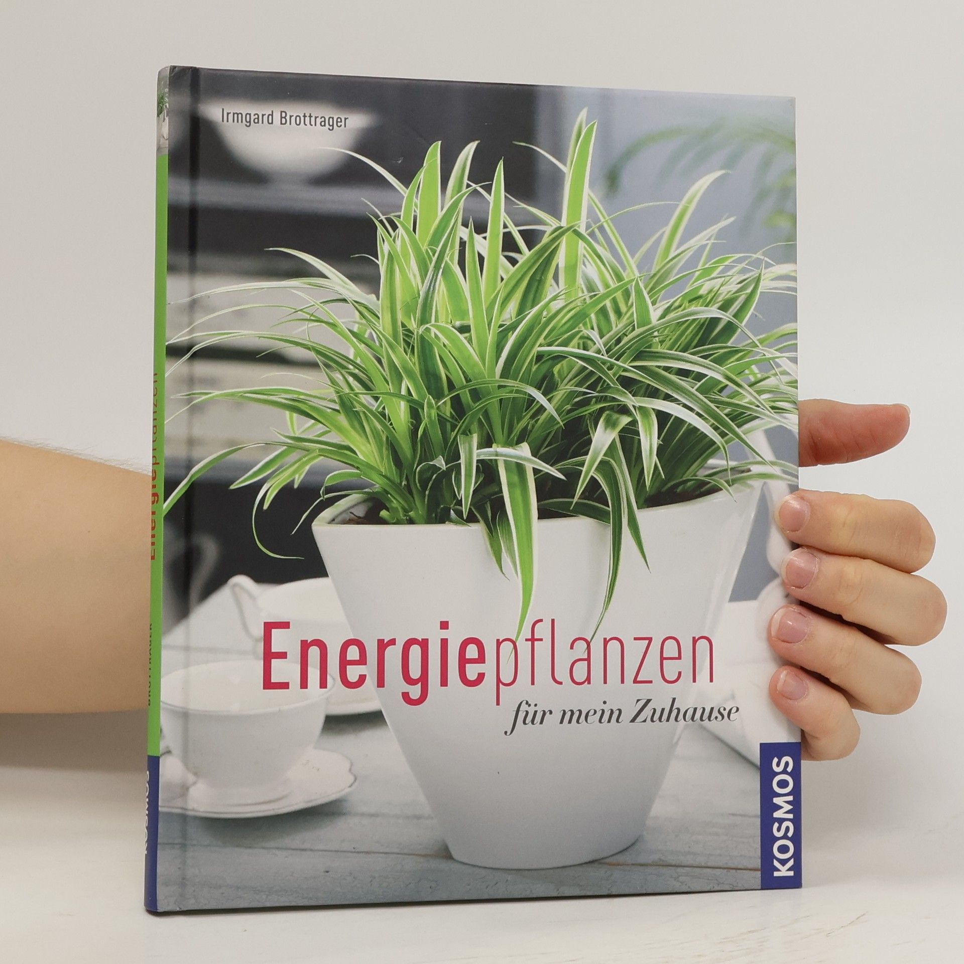 Irmgard Brottrager Energiepflanzen für mein Zuhause