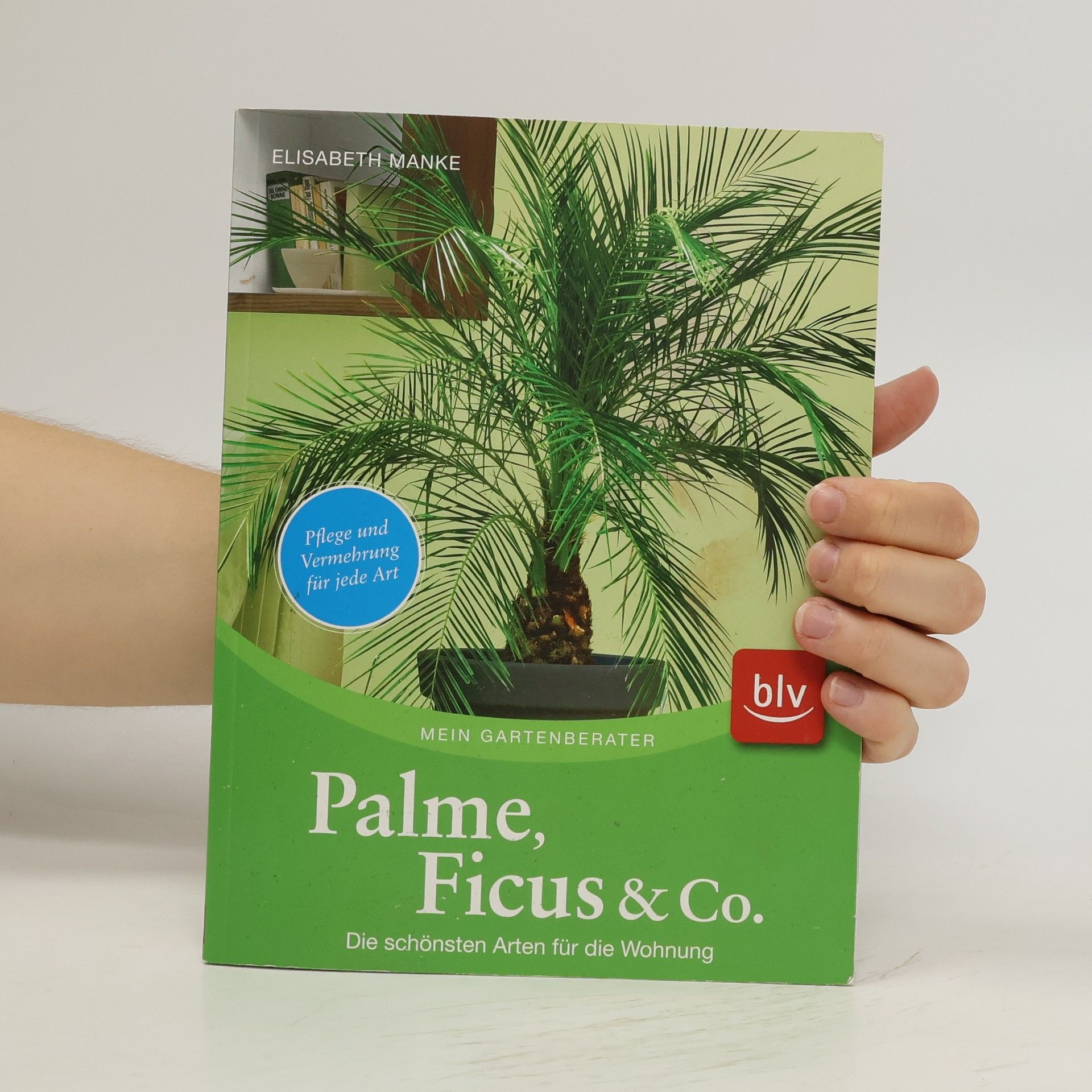 Elisabeth Manke Palme, Ficus & Co.