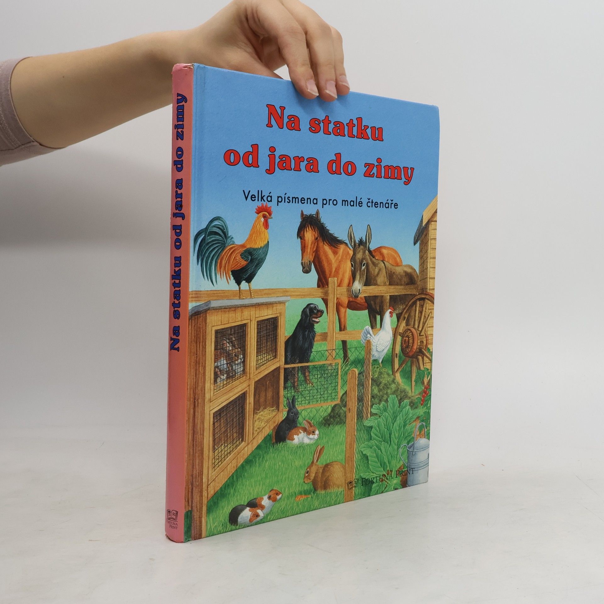 Gisela Fischer-Lingat Na statku od jara do zimy