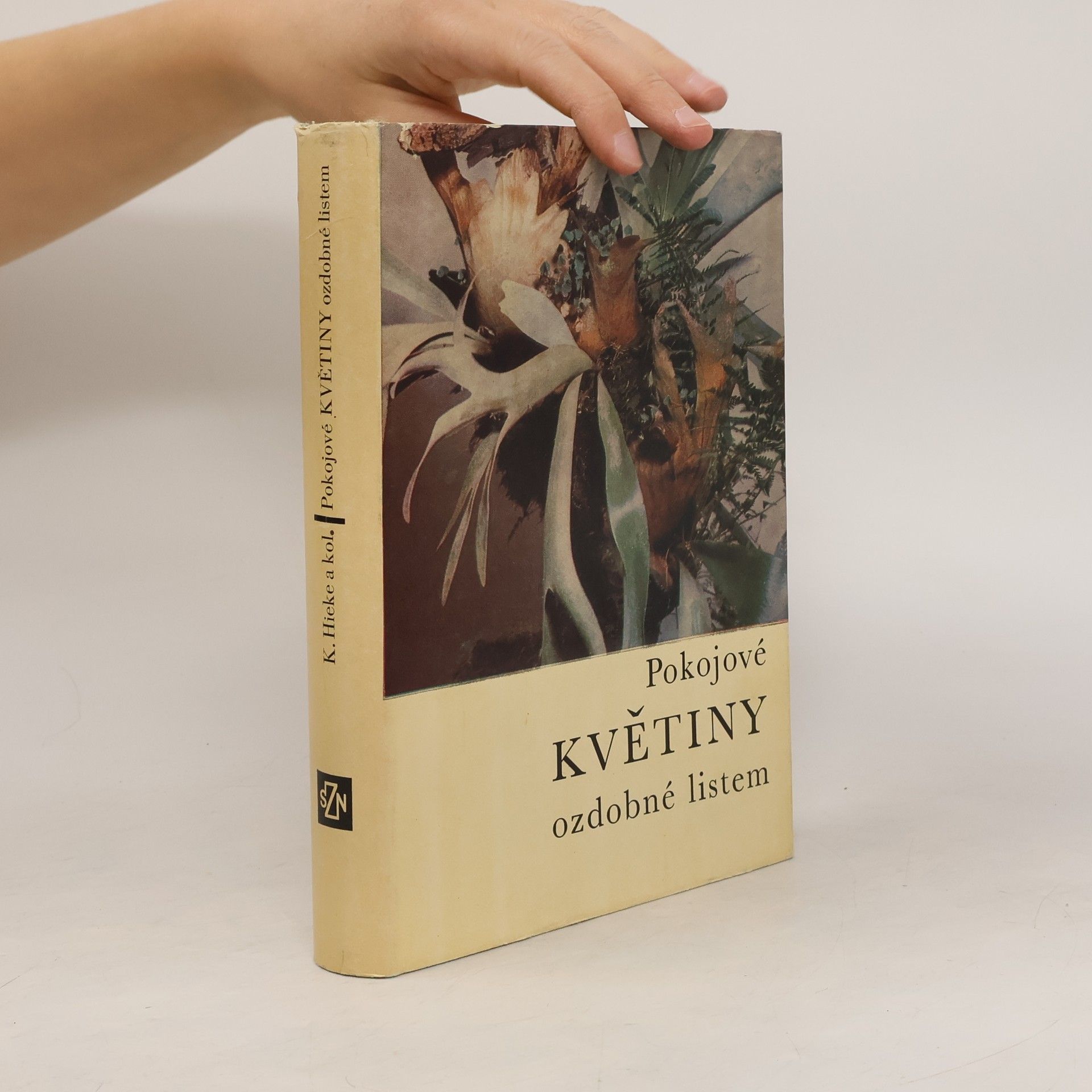 Karel Hieke Pokojové květiny ozdobné květem