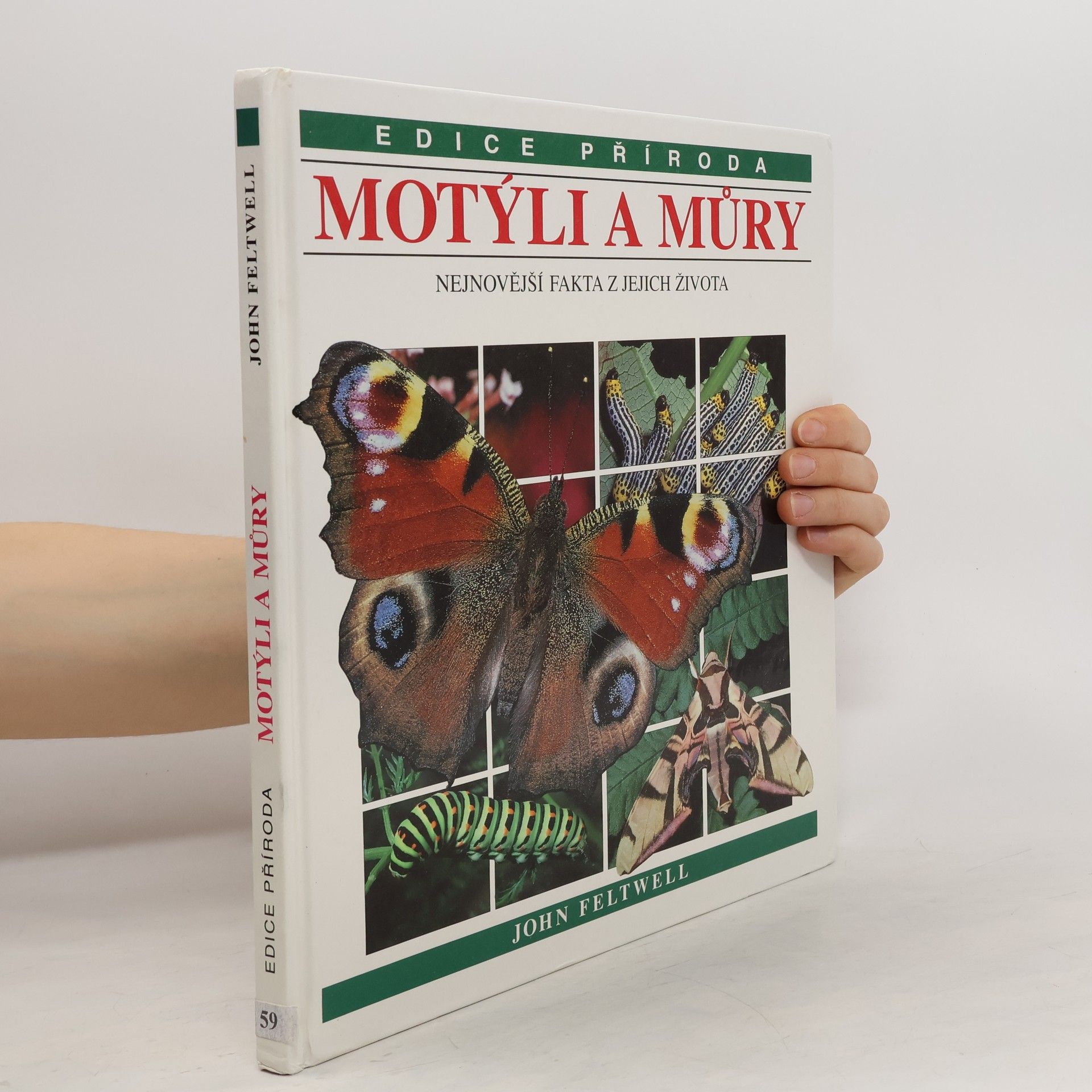John Feltwell Motýli a můry