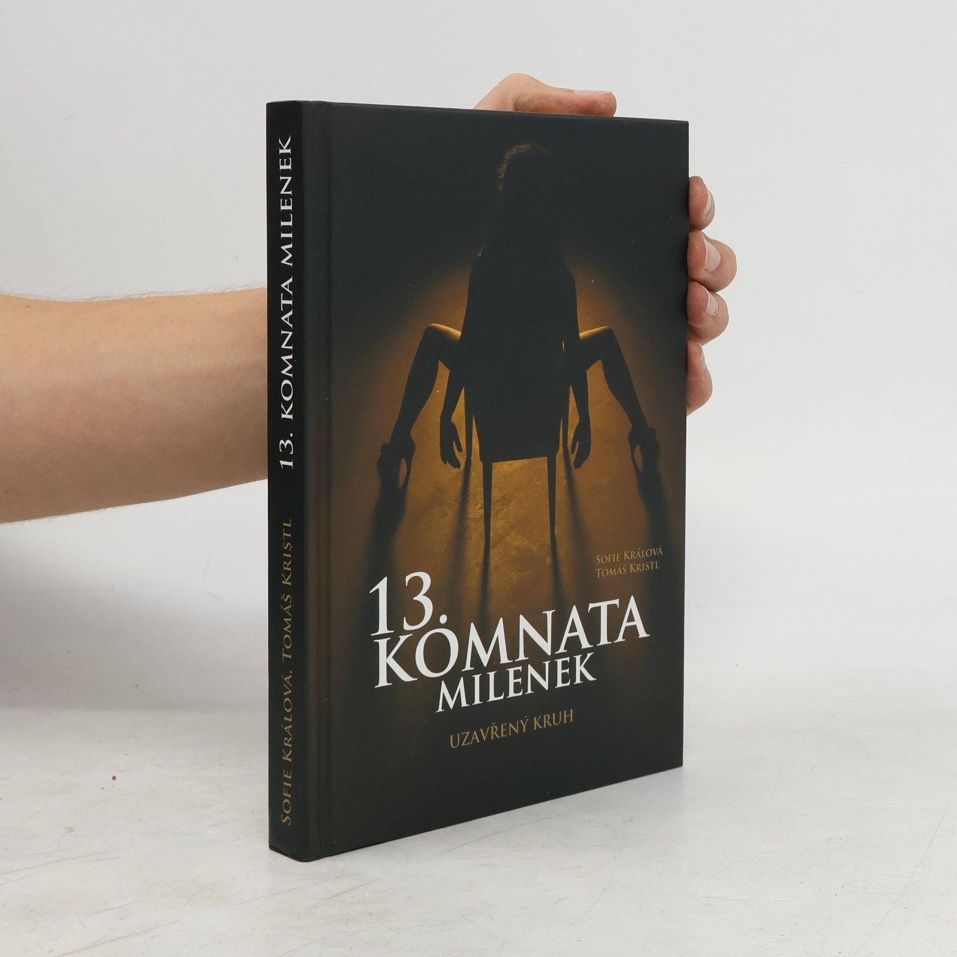 Tomáš Kristl 13. komnata milenek. Uzavřený kruh