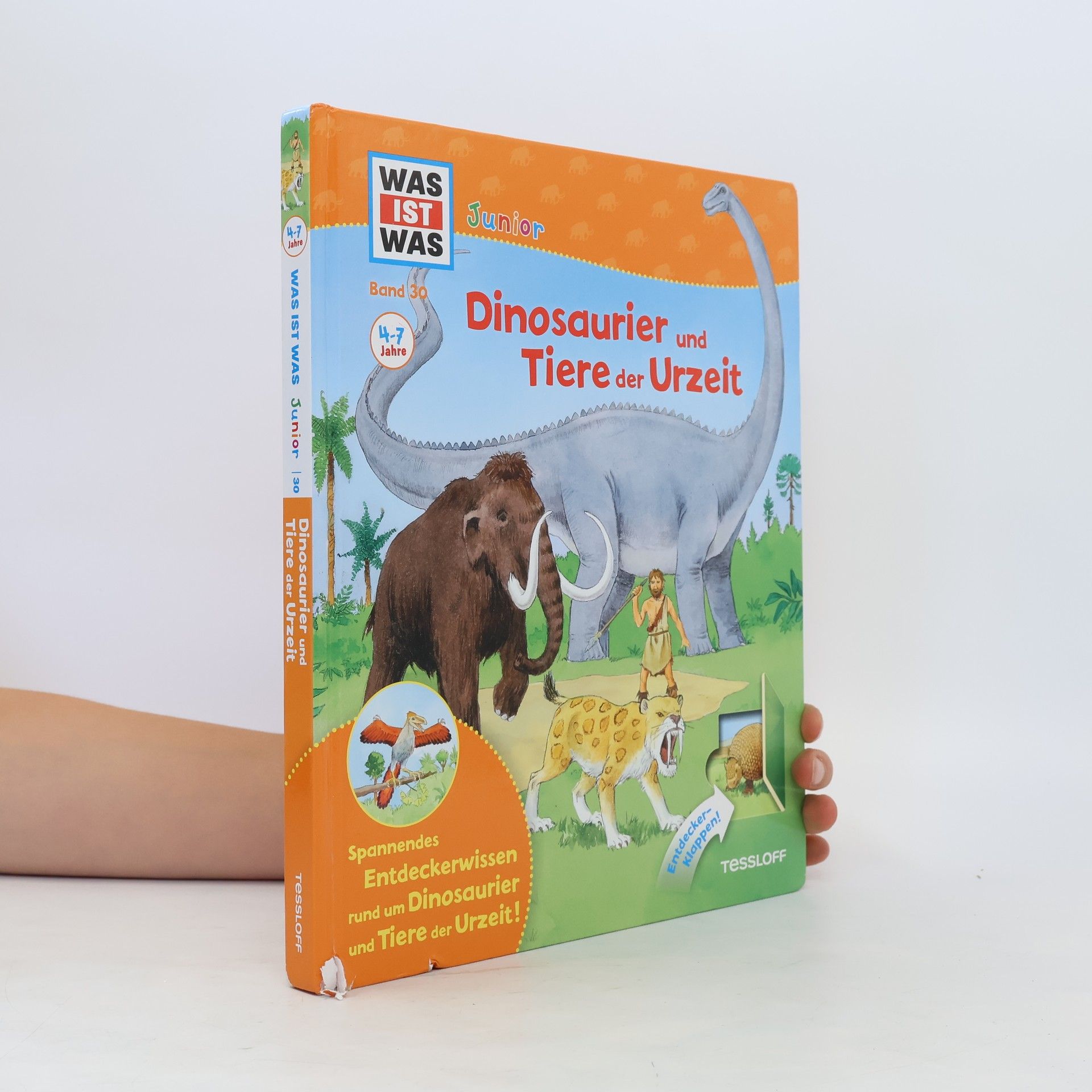 Astrid Vohwinkel Dinosaurier und Tiere der Urzeit