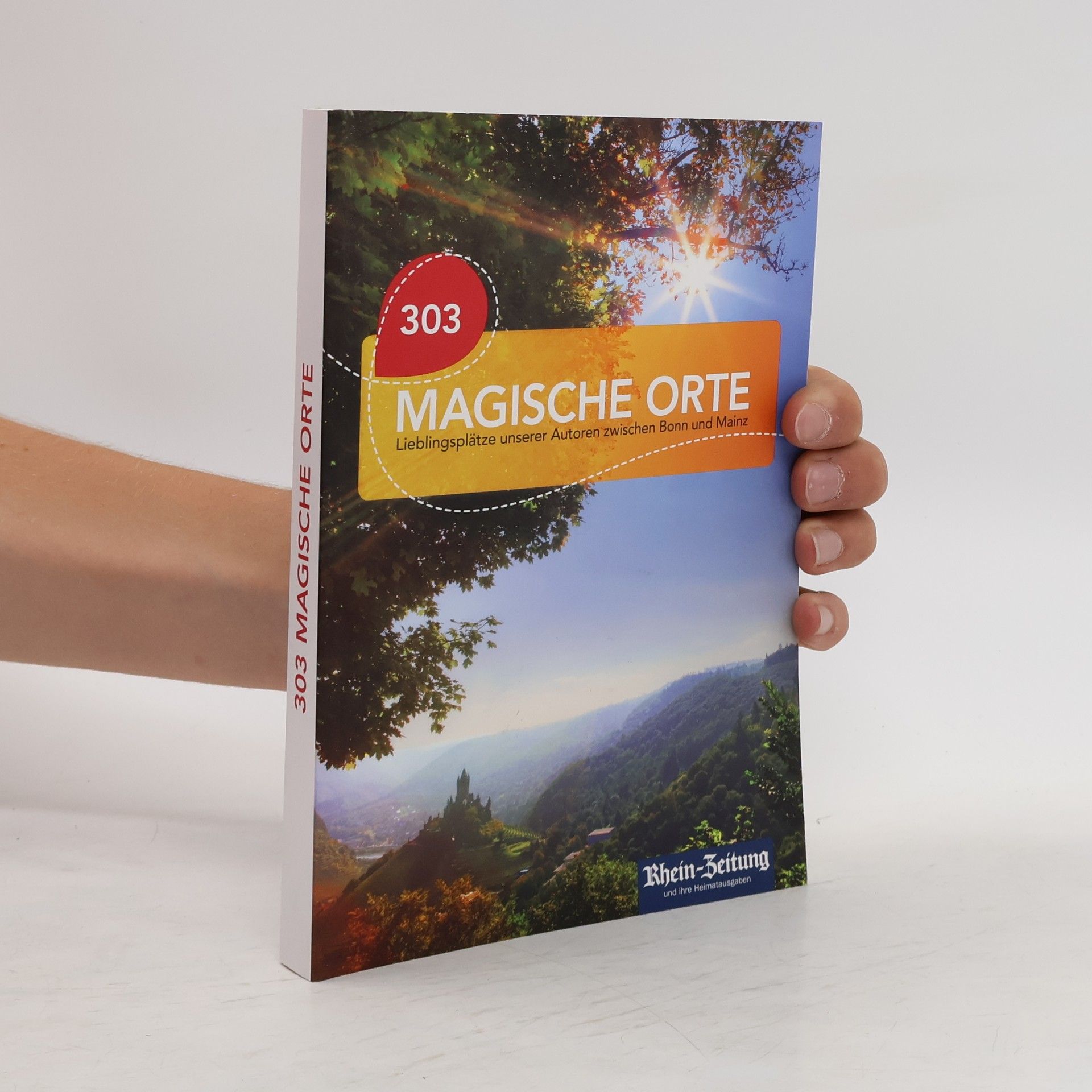 Collectif d'auteurs 303 Magische Orte. Lieblingsplätze unserer Autoren zwischen Bonn und Mainz