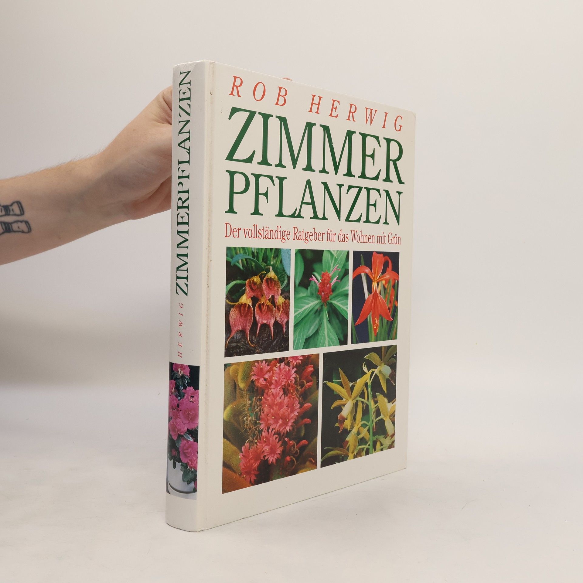 Rob Herwig Zimmerpflanzen