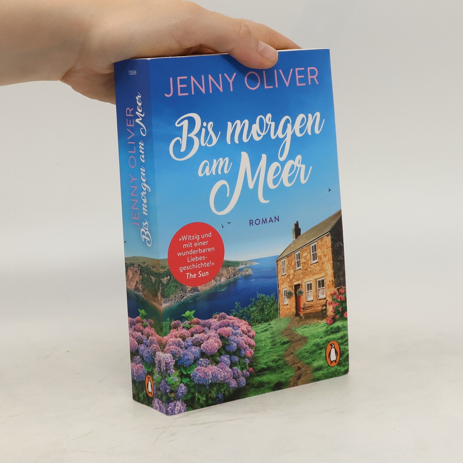 Jenny Oliver Bis morgen am Meer