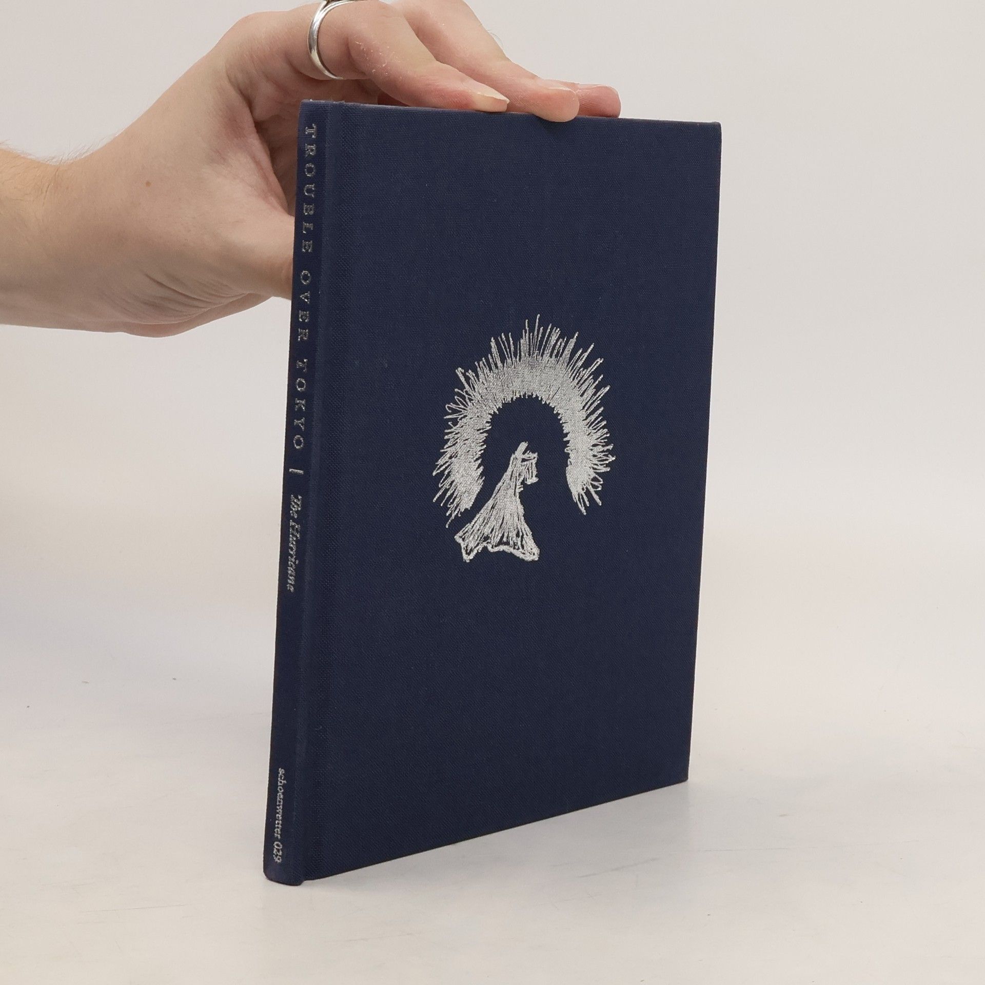 Christopher M. Taylor The Hurricane: trouble over Tokyo