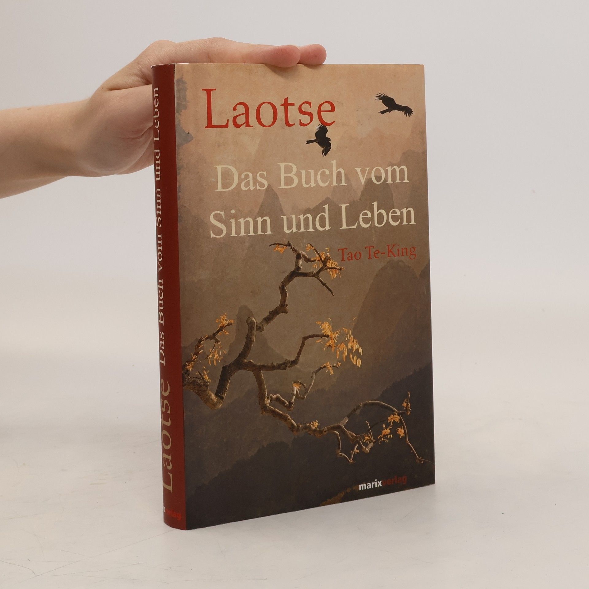 Tao Te-King Das Buch vom Sinn und Leben