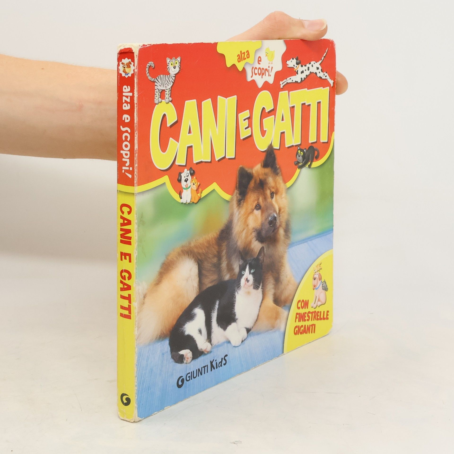 Veronica Pellegrini Cani e gatti