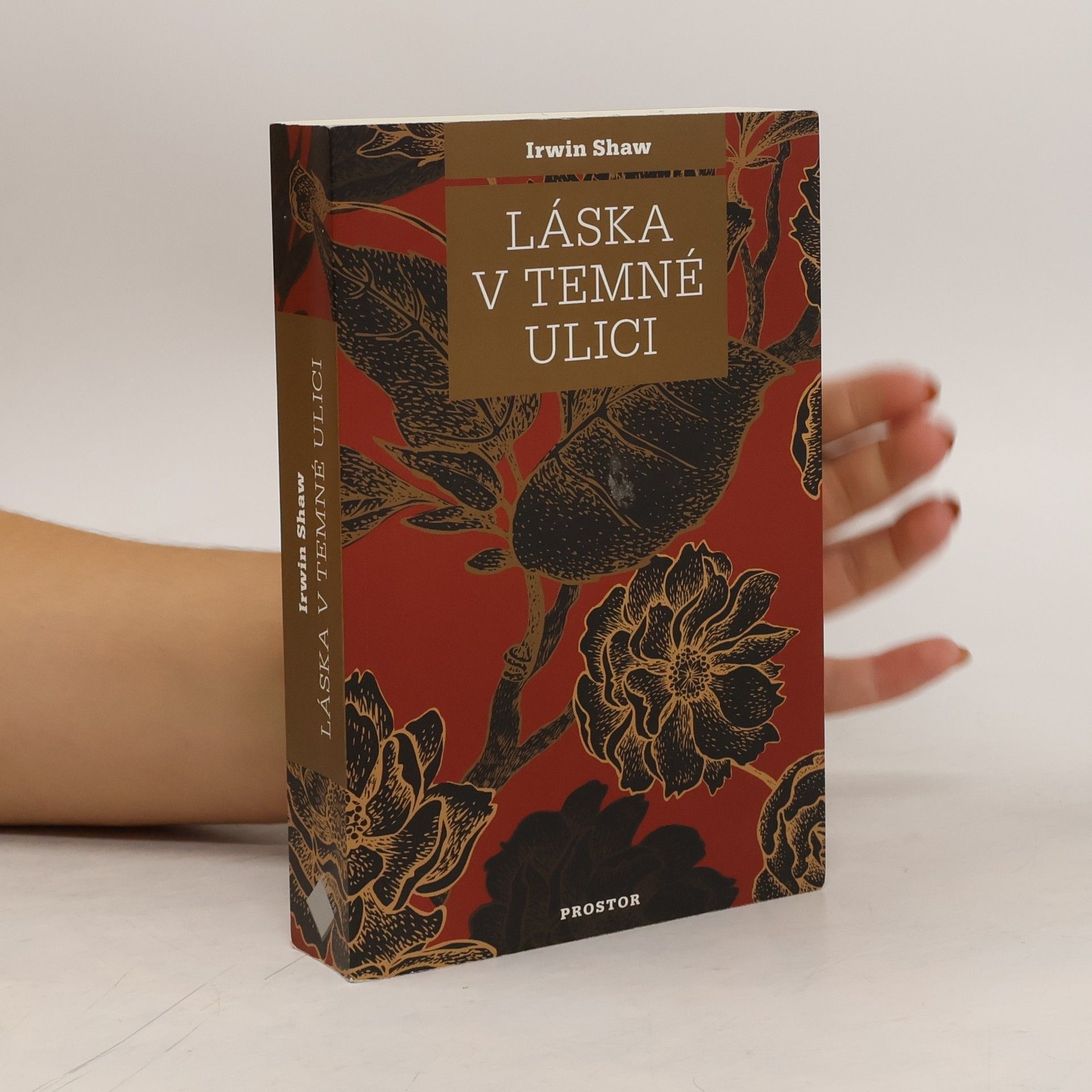 Irwin Shaw Láska v temné ulici
