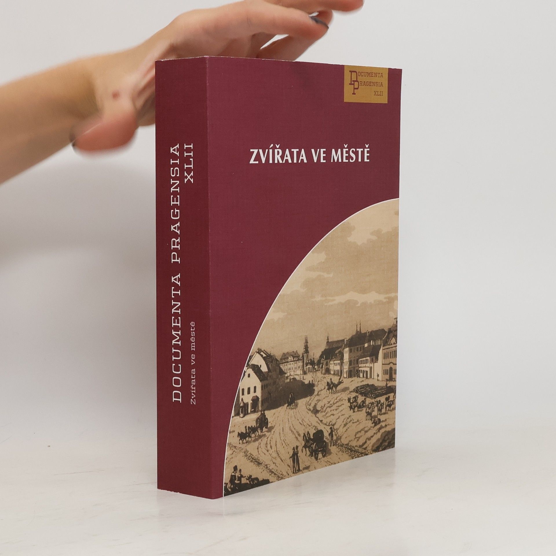 AA.VV. Zvířata ve městě