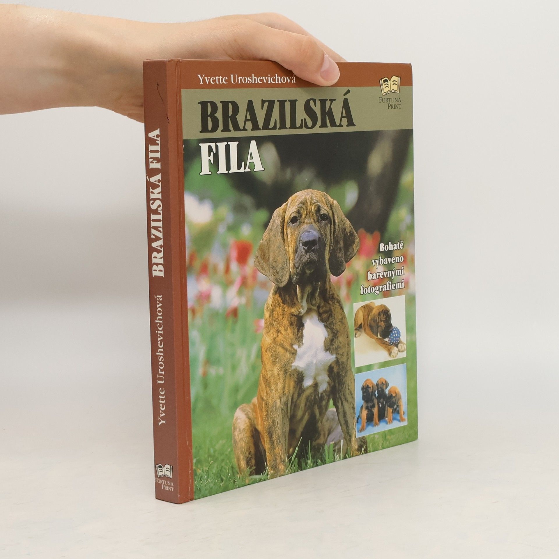 Yvette Uroshevich Brazilská fila