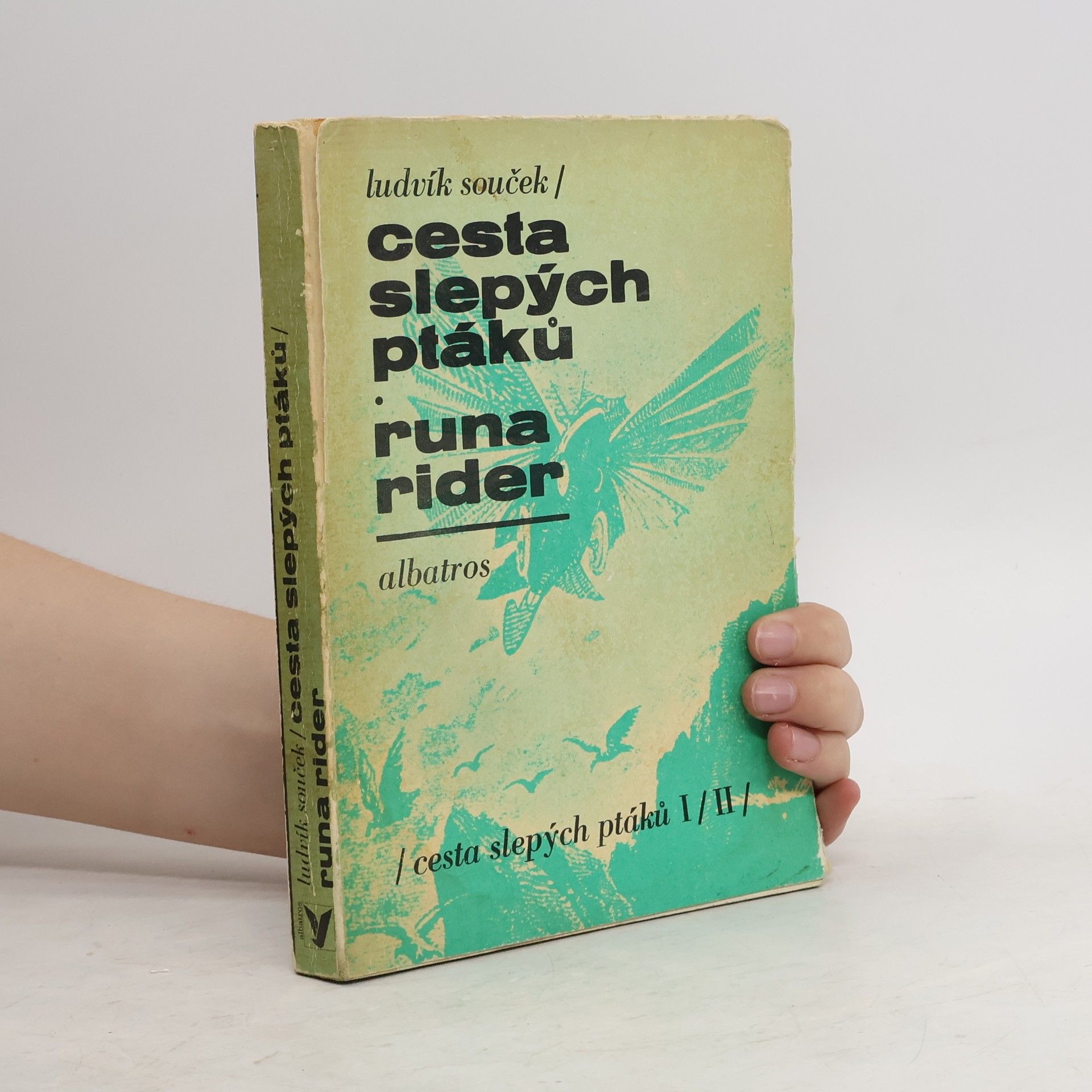 Ludvík Souček Cesta slepých ptáků. Runa rider