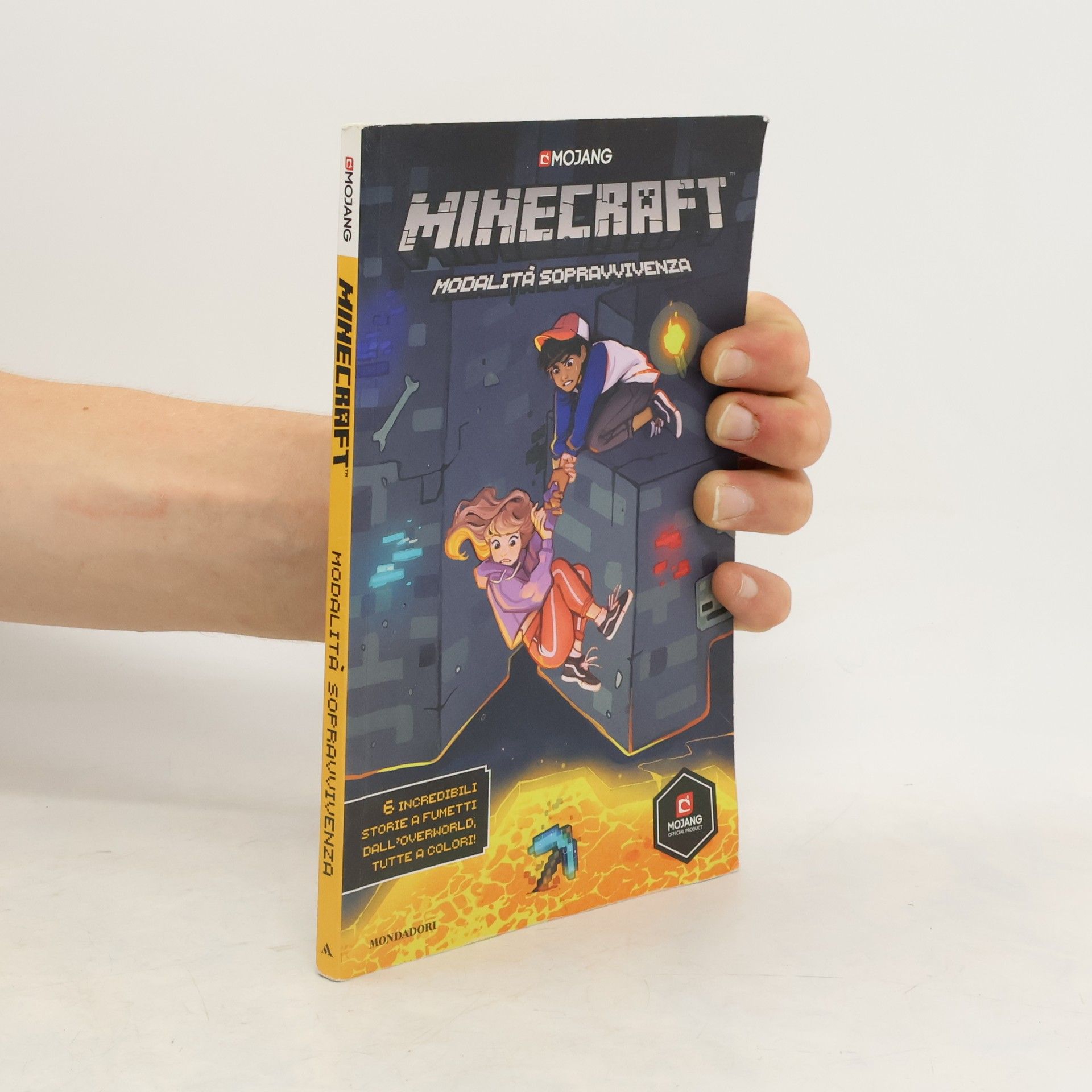 Collectif d'auteurs Minecraft. Modalità sopravvivenza