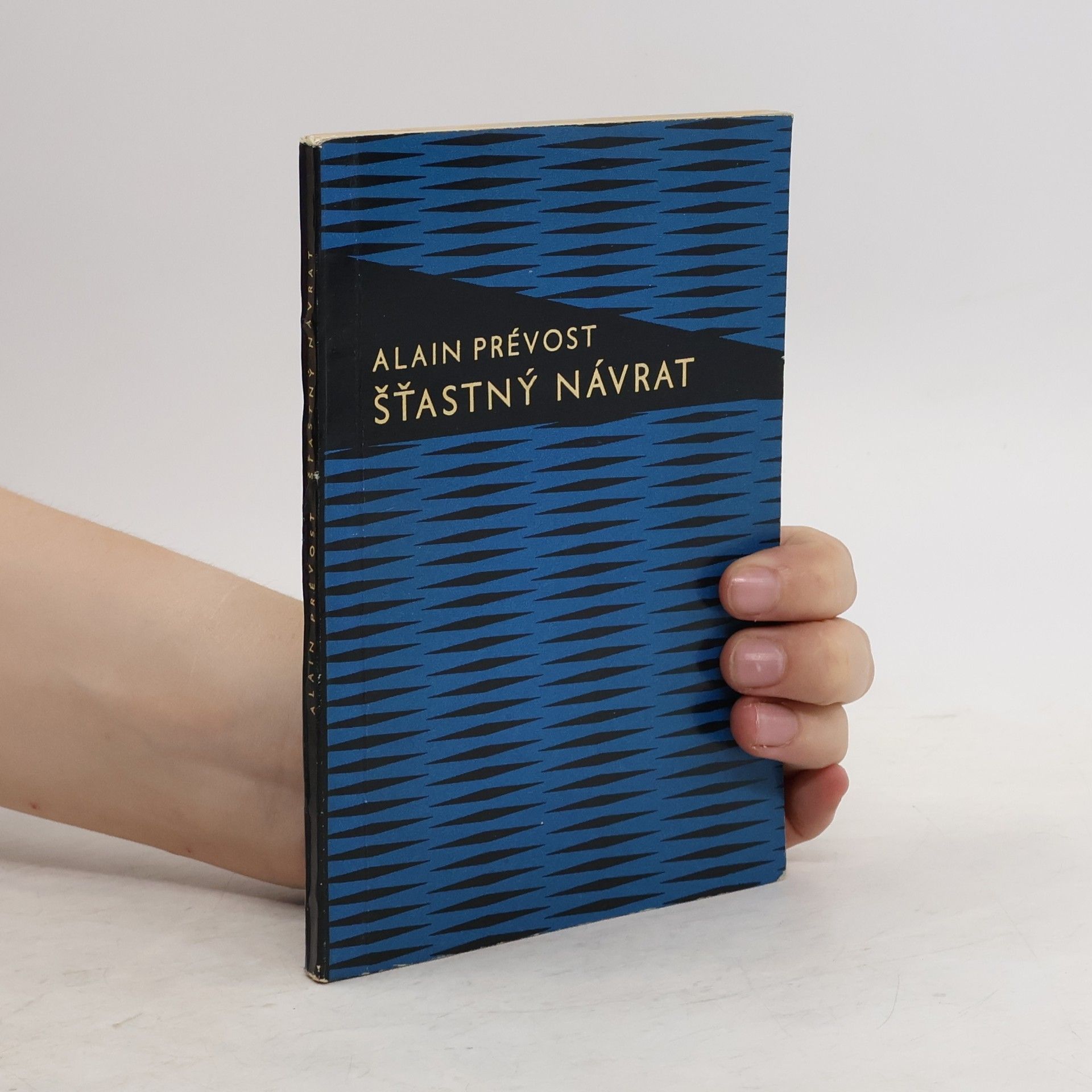 Prévost Alain Šťastný návrat