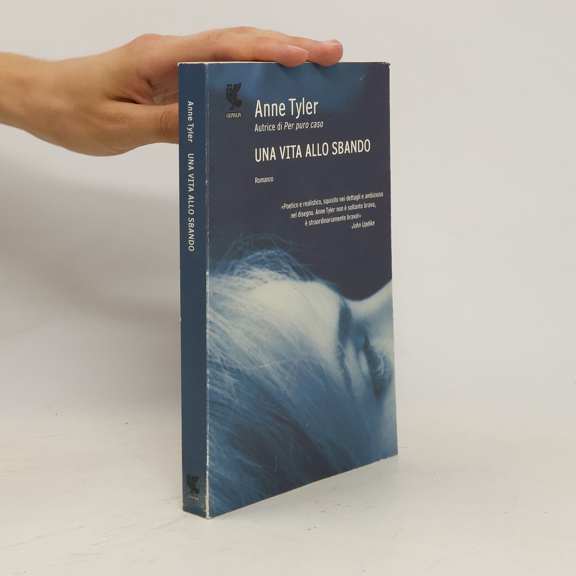Anne Tyler Una vita allo sbando