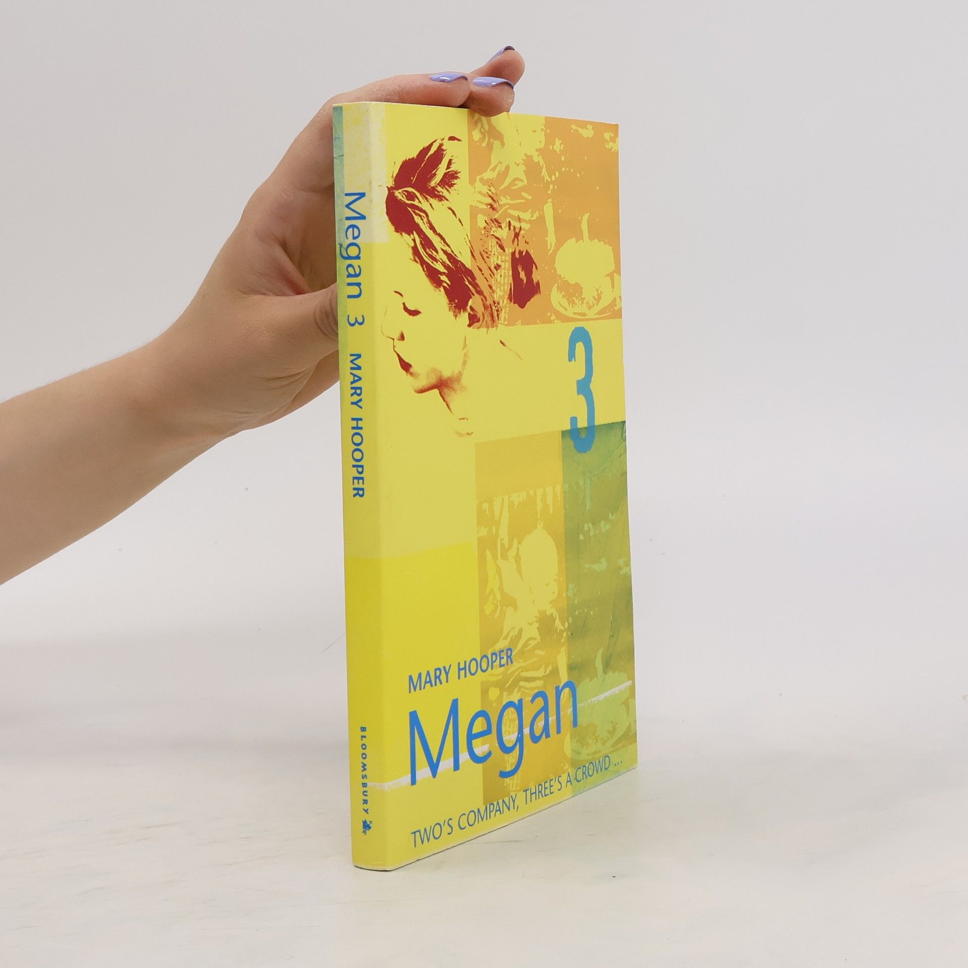 Mary Hooper Megan 3