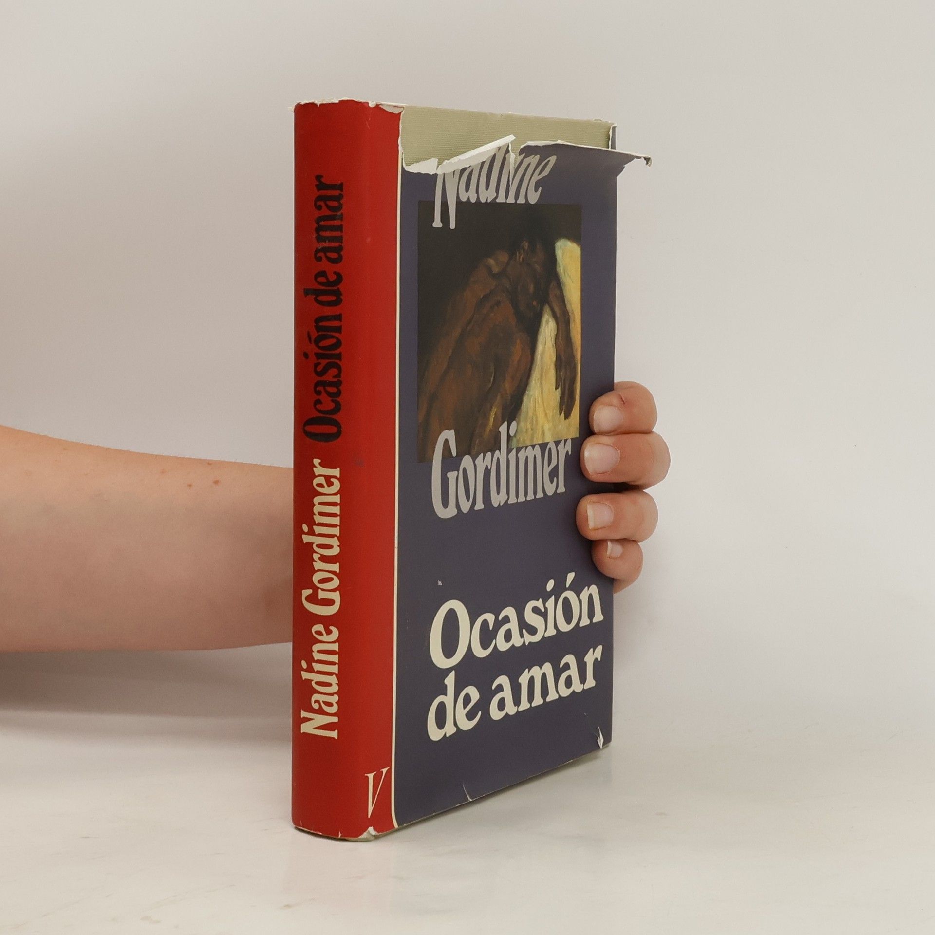 Gordimer Nadine Ocasión de amar