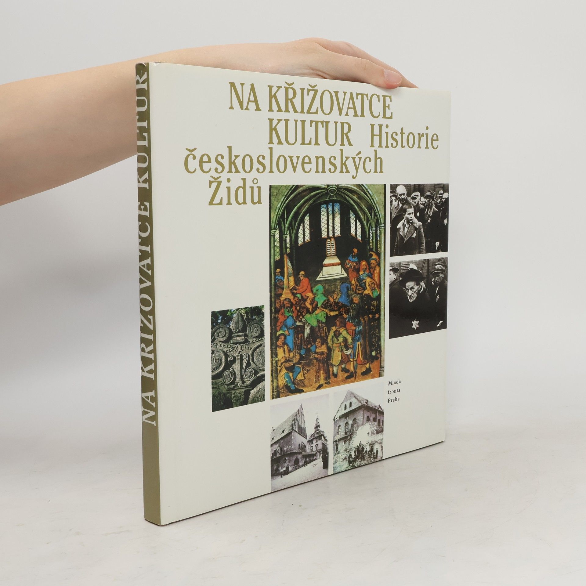 AA.VV. Na křižovatce kultur: Historie československých Židů
