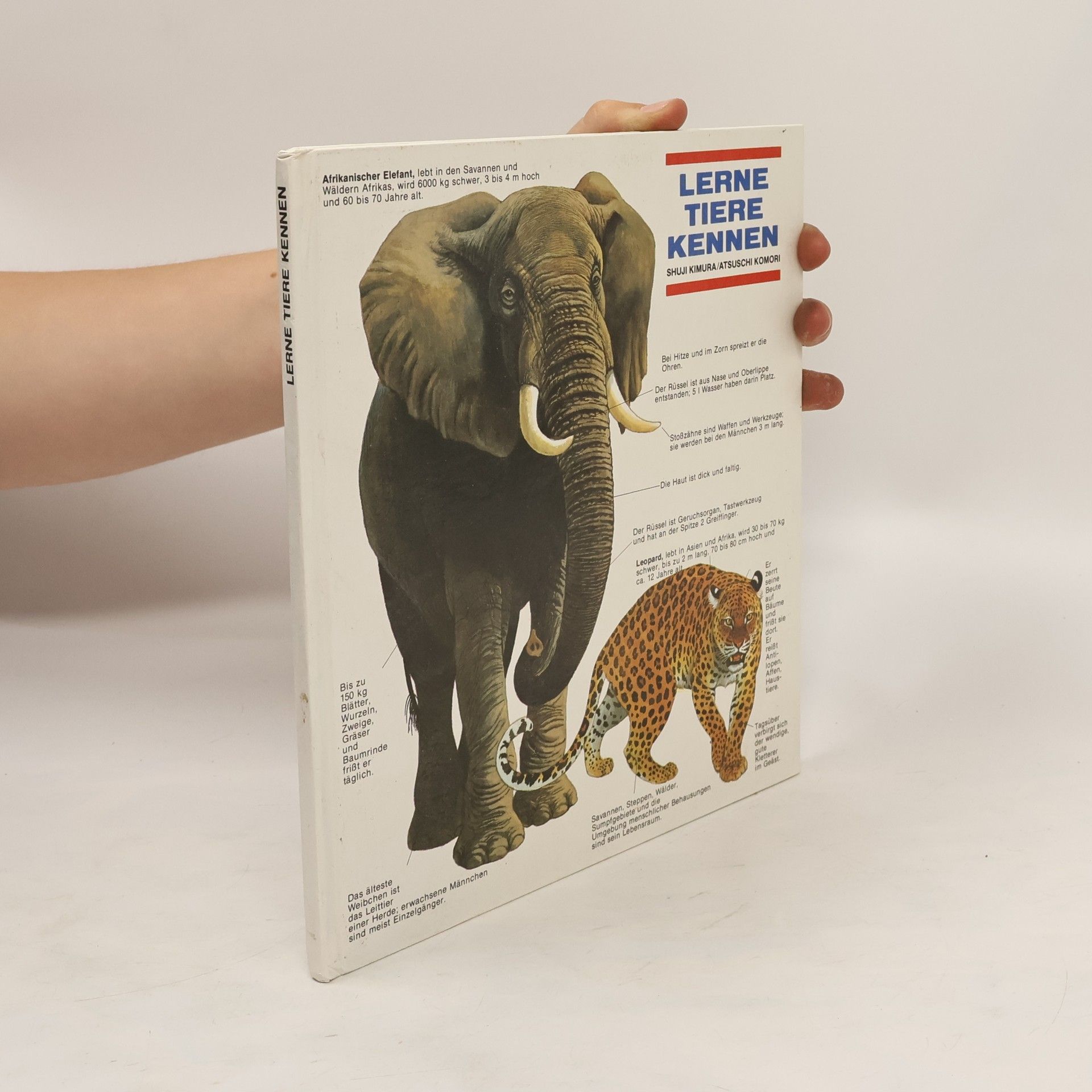 Autorenkollektiv Lerne Tiere Kennen