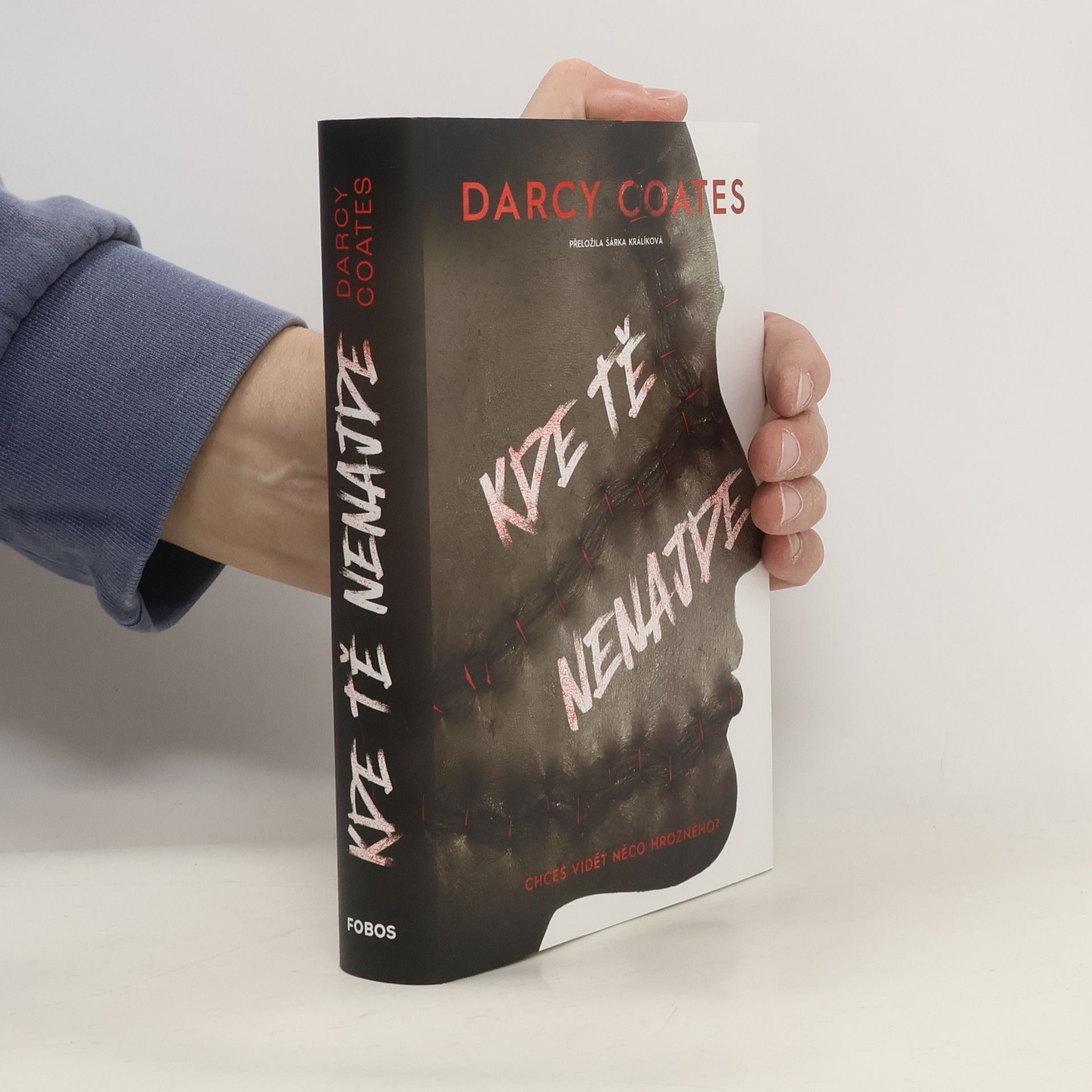 Darcy Coates Kde tě nenajde