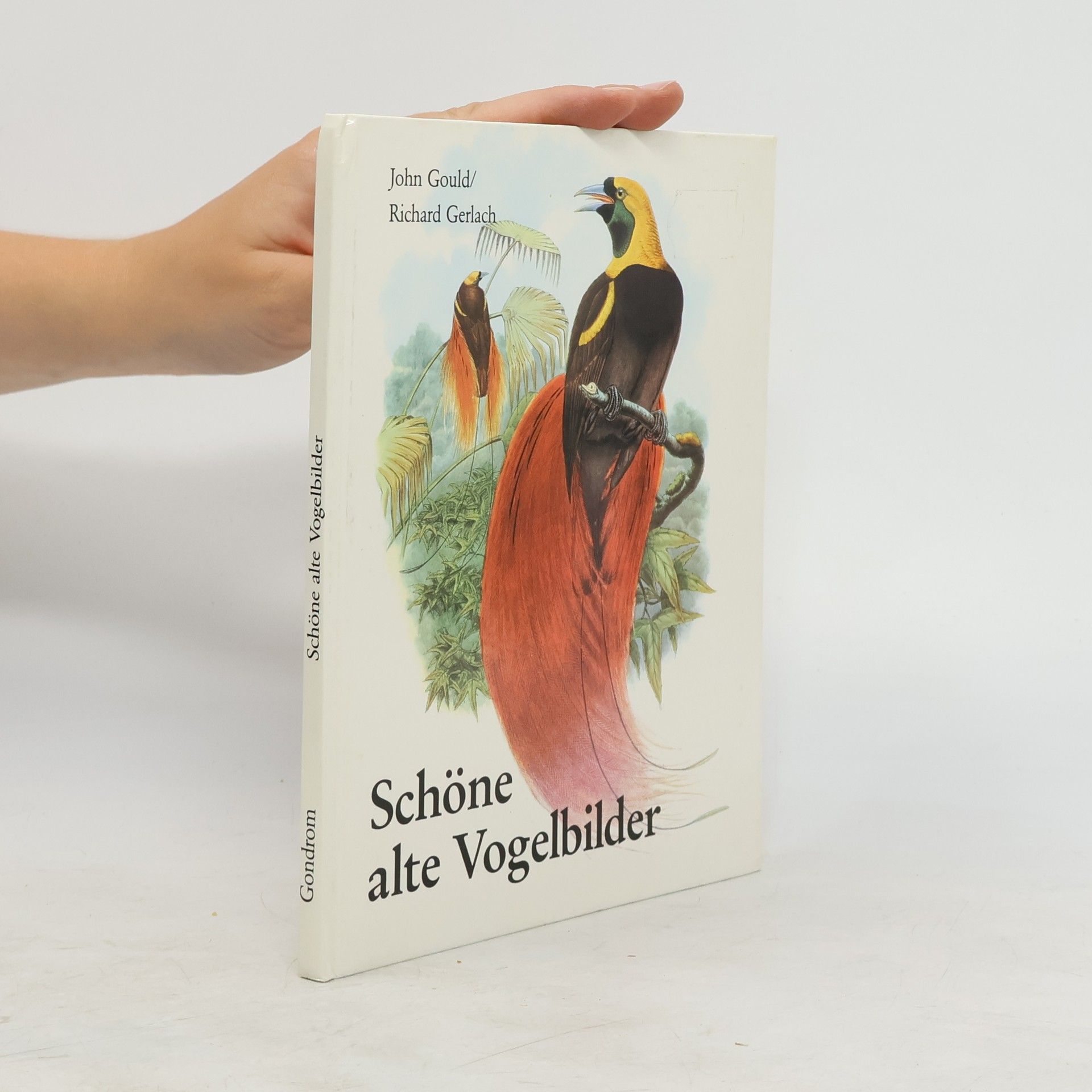 John Gould Schone alte Vogelbilder