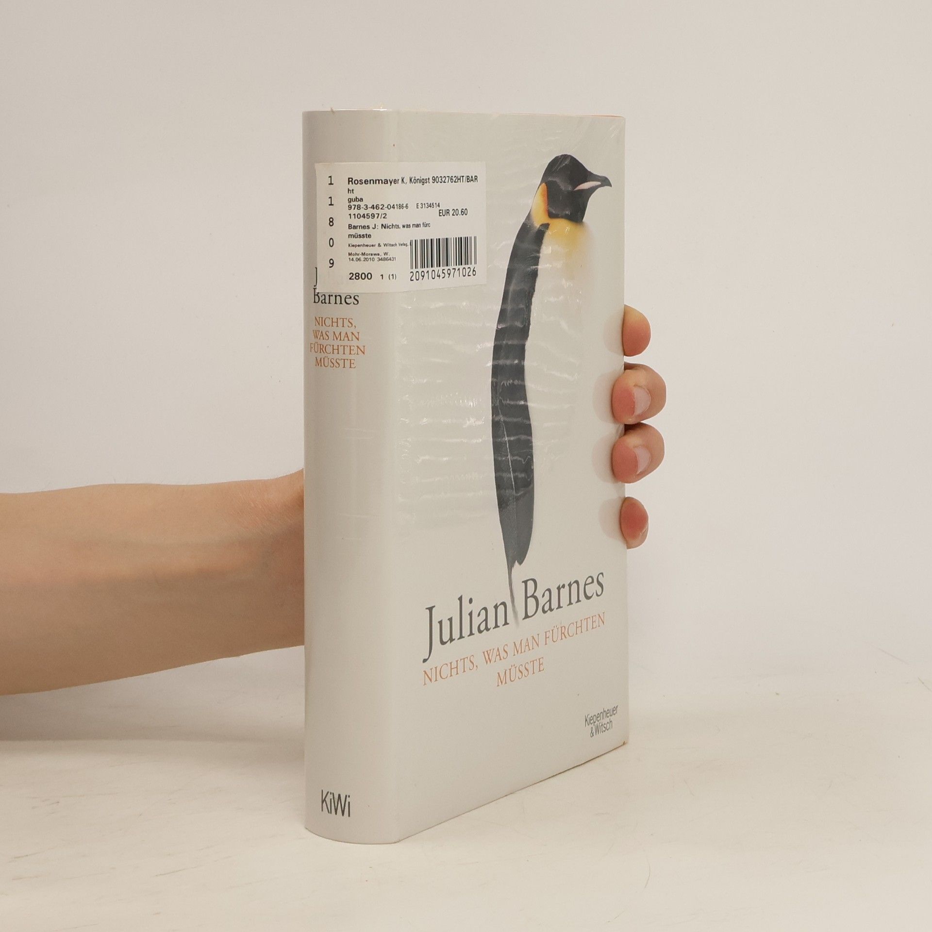 Julian Barnes Nichts, was man fürchten müsste