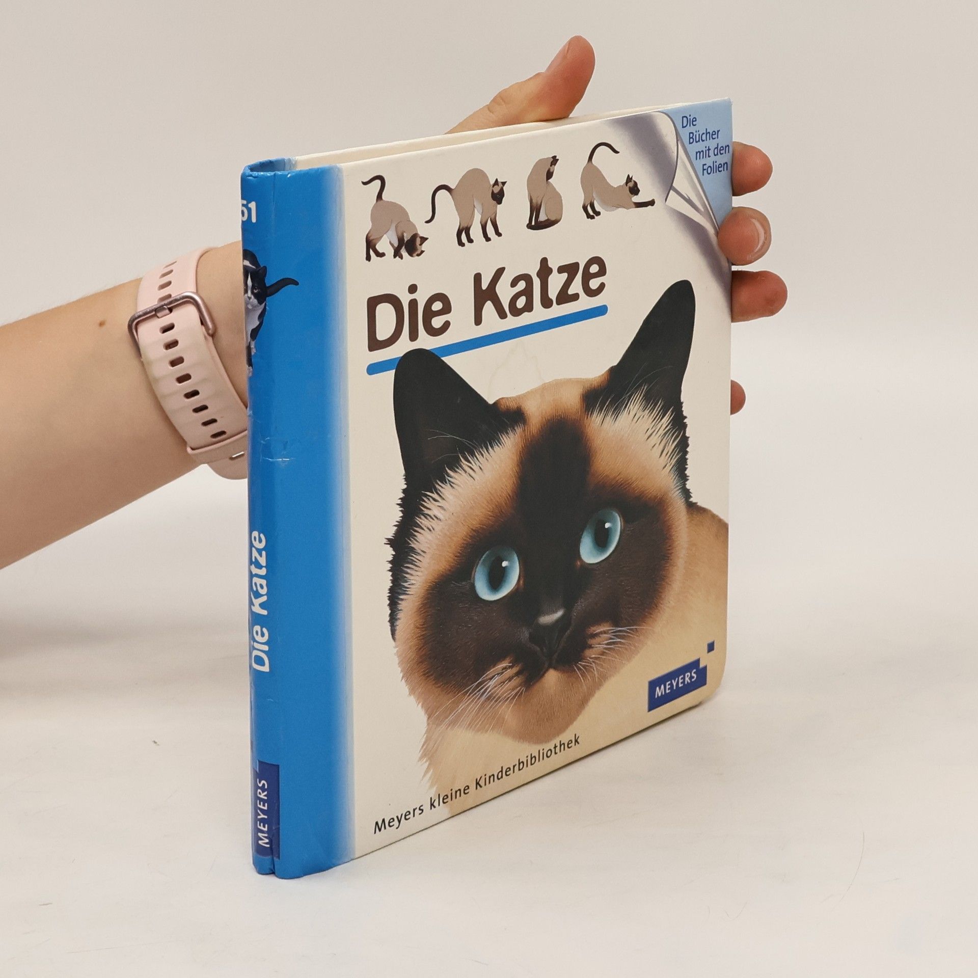 Pascale de Bourgoing Die Katze