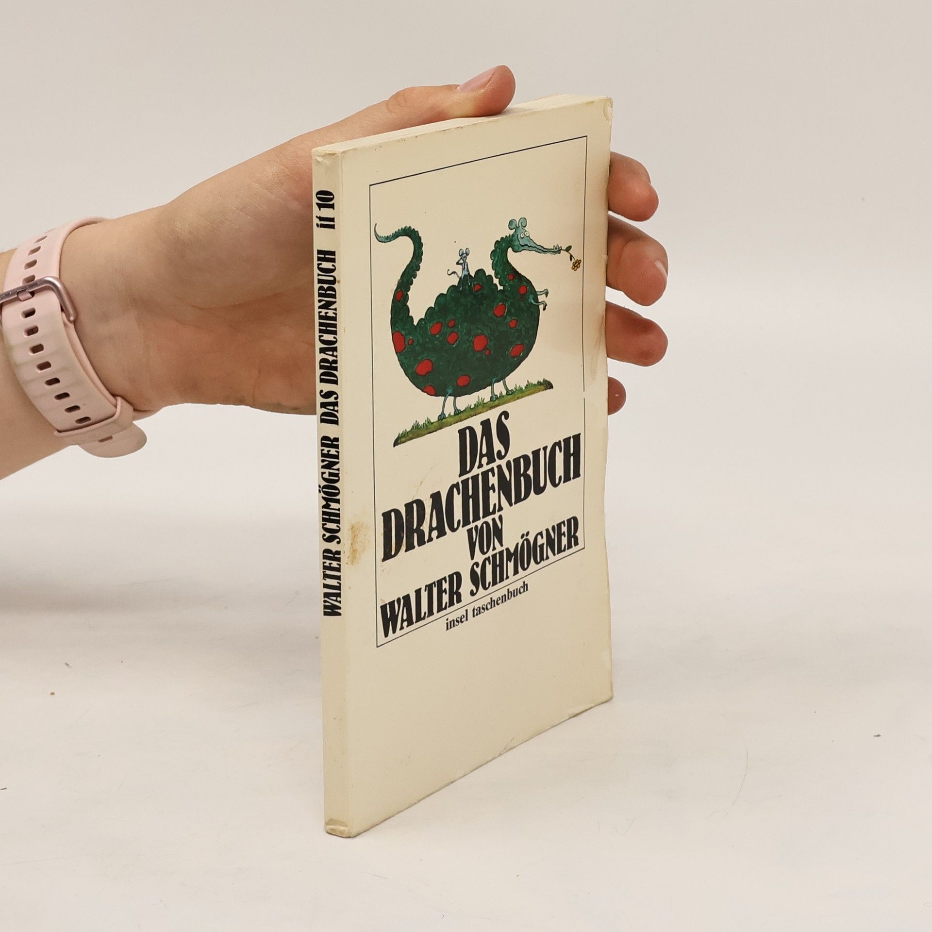 Walter Schmögner Das Drachenbuch