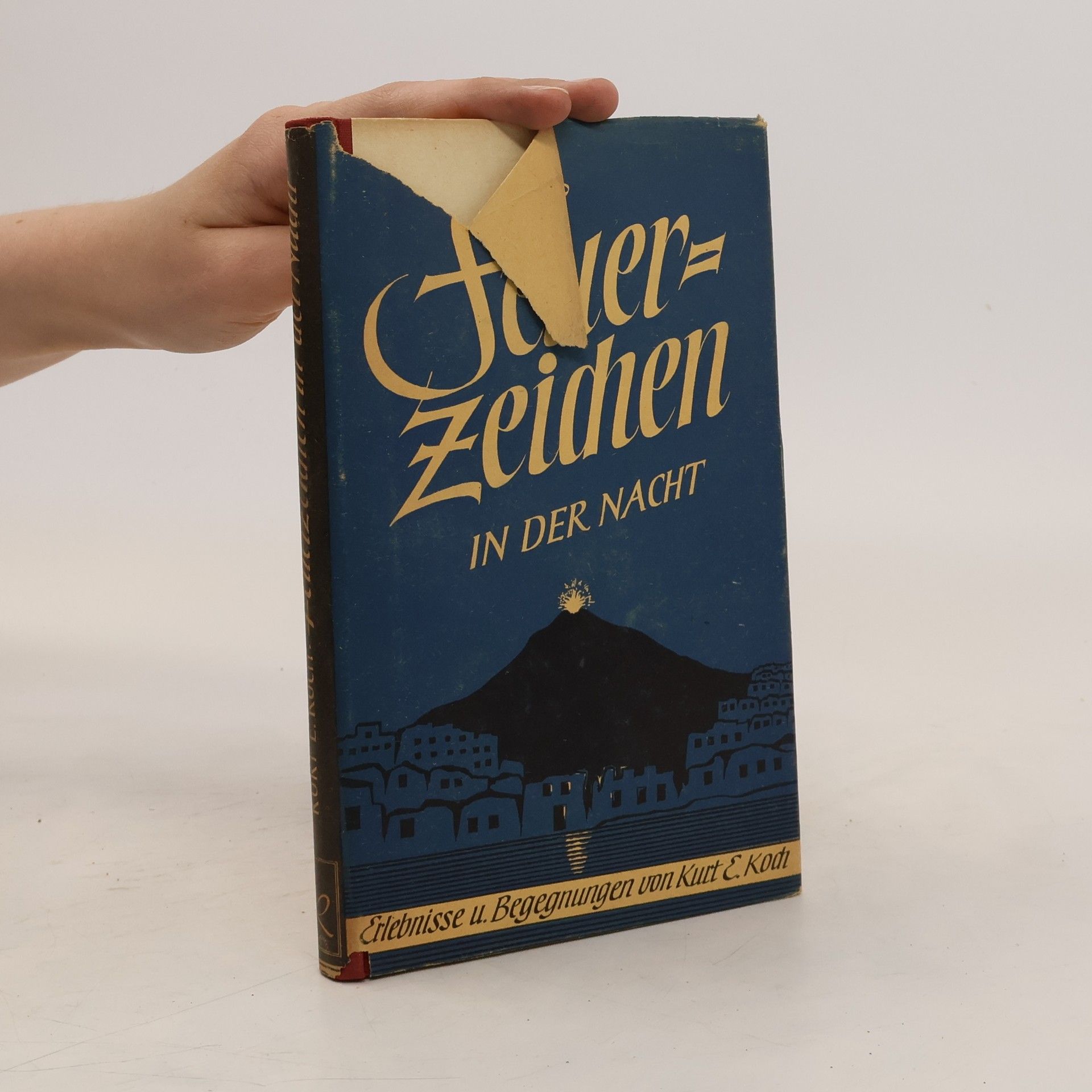 Kurt E. Koch Feuerzeichen in der Nacht