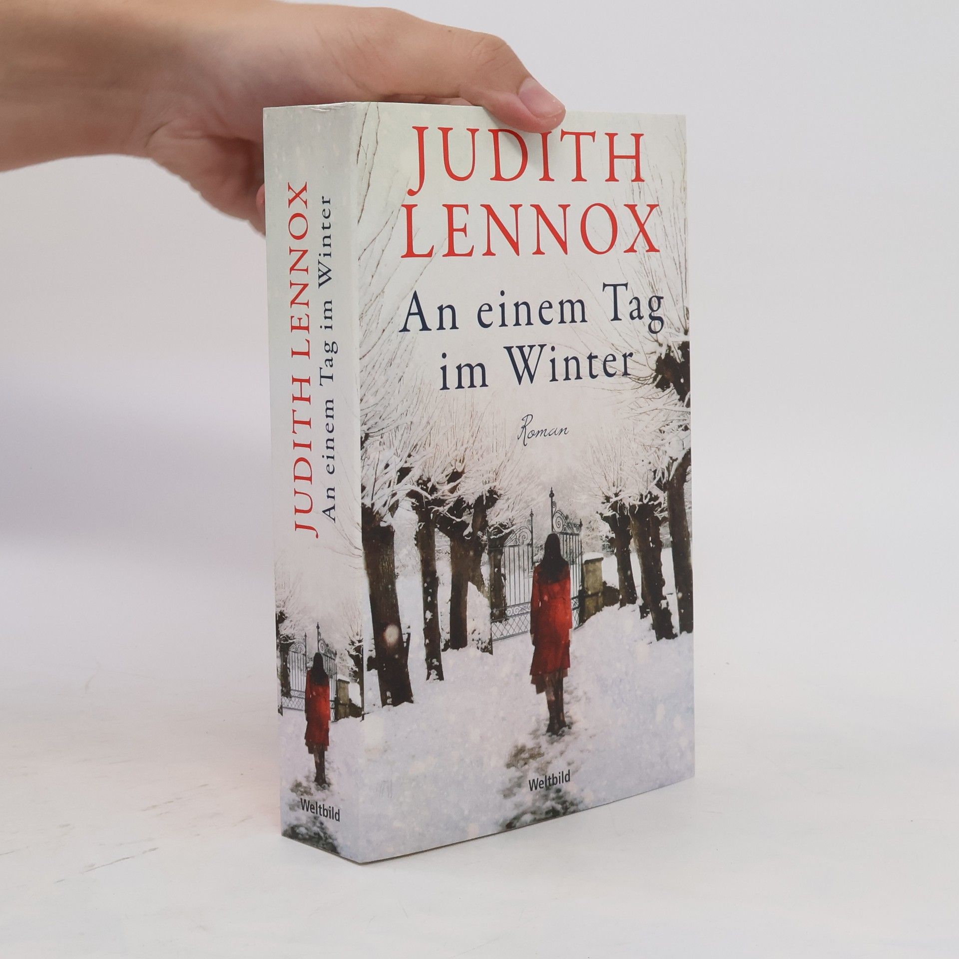 Judith Lennox An einem Tag im Winter