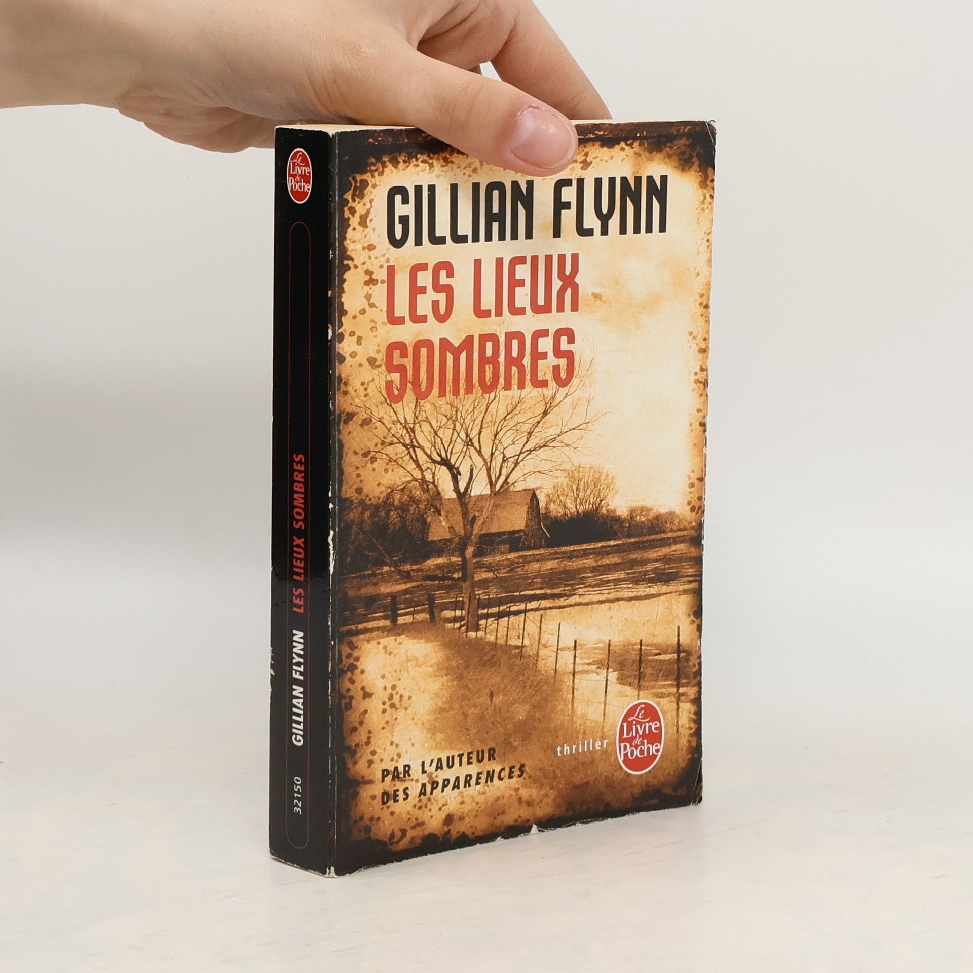Gillian Flynn Les lieux sombres