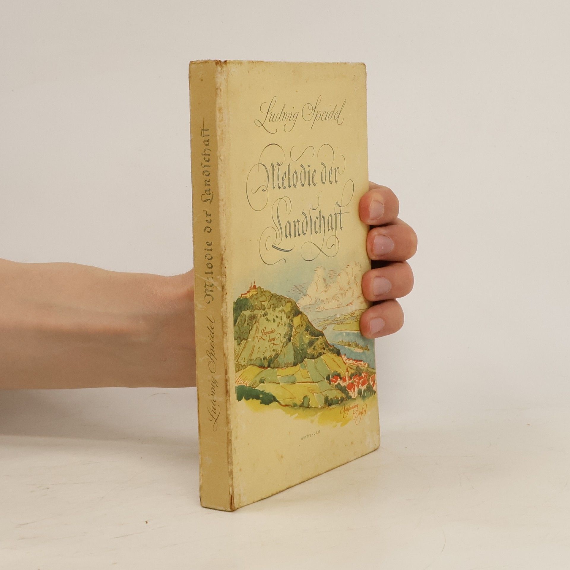 Ludwig Speidel Melodie der Landschaft
