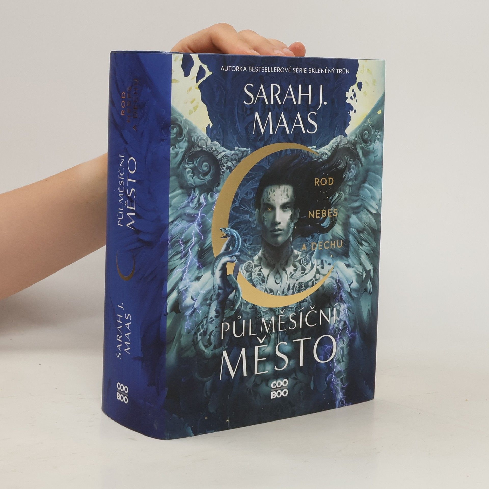 Sarah J. Maas Rod nebes a dechu