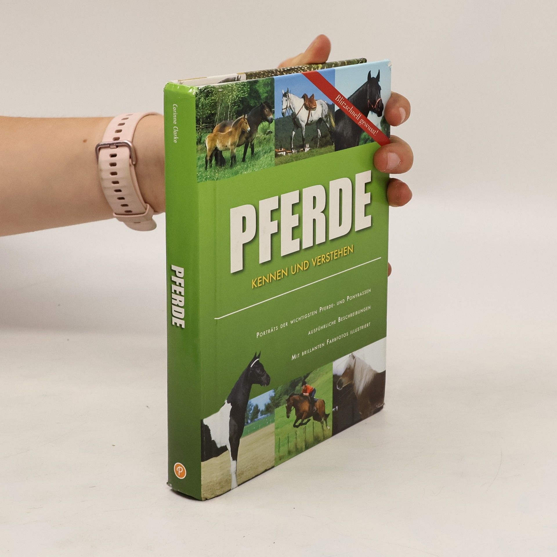 Corinne Clark Pferde kennen und verstehen