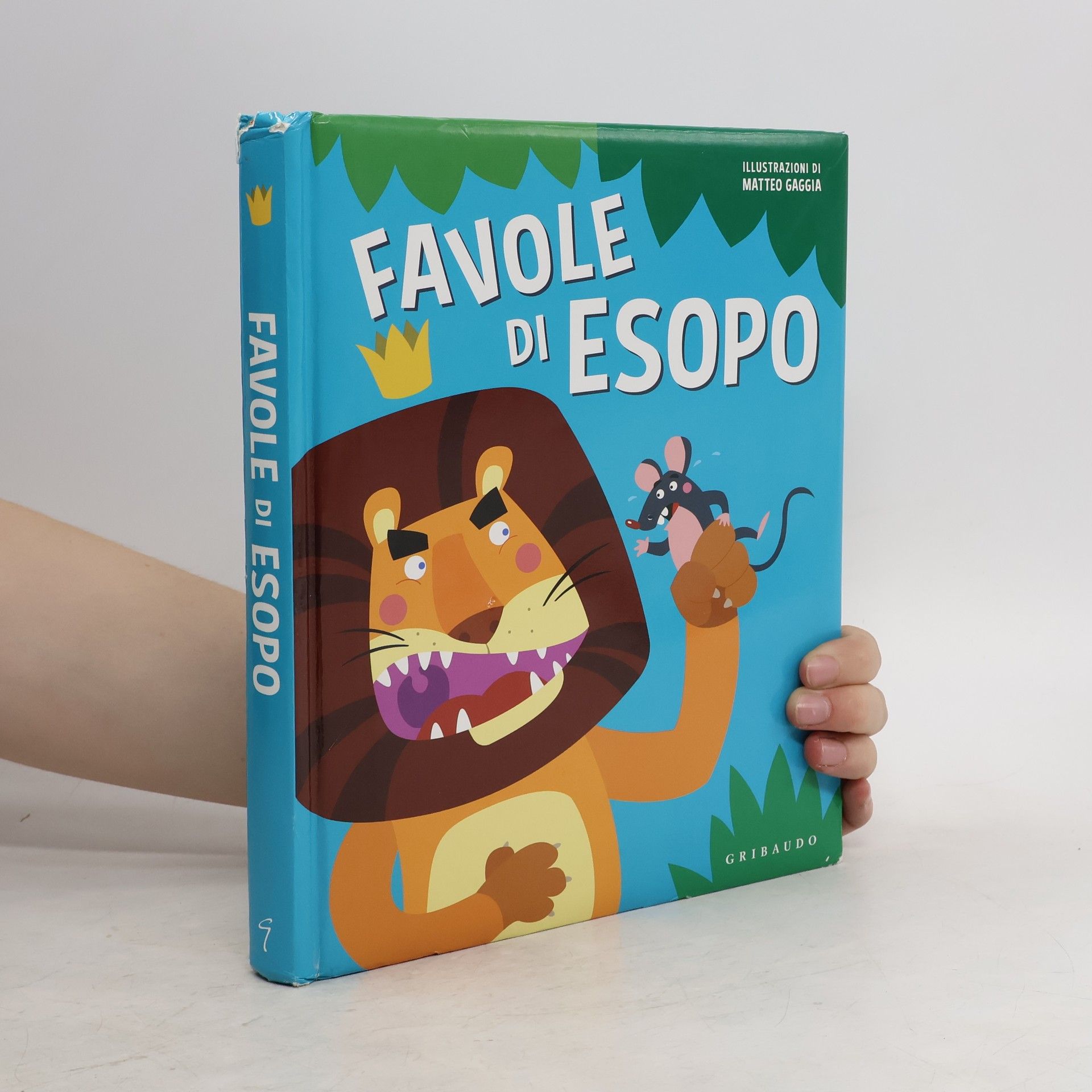 Matteo Gaggia Favole di Esopo