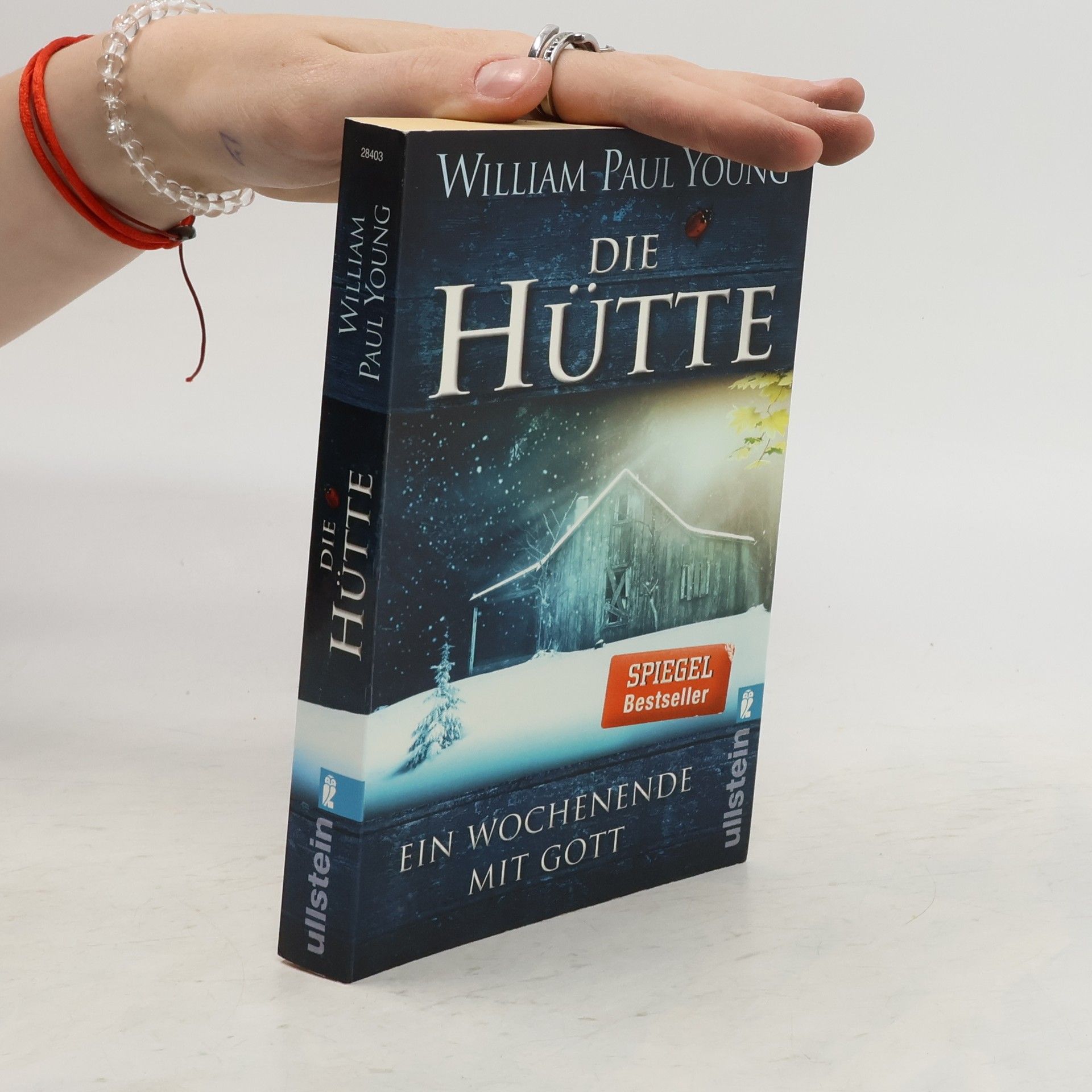 William P. Young Die Hütte
