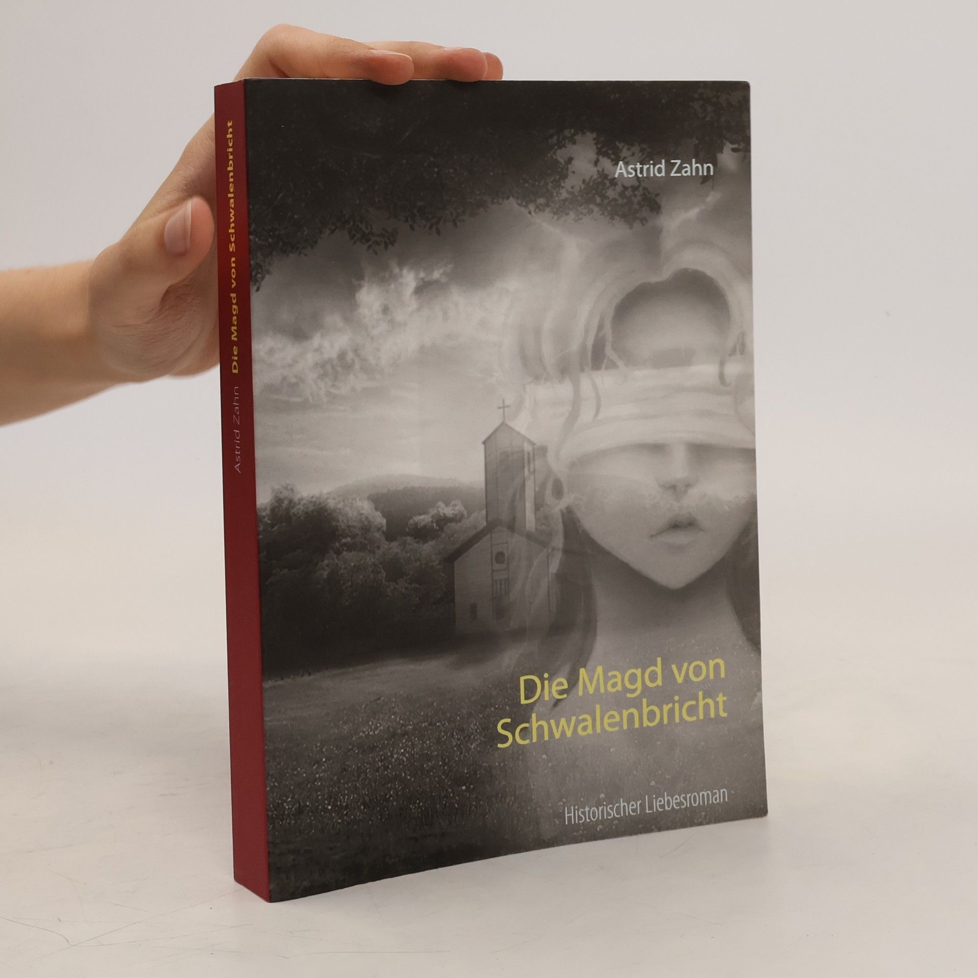 Astrid Zahn Die Magd von Schwalenbricht