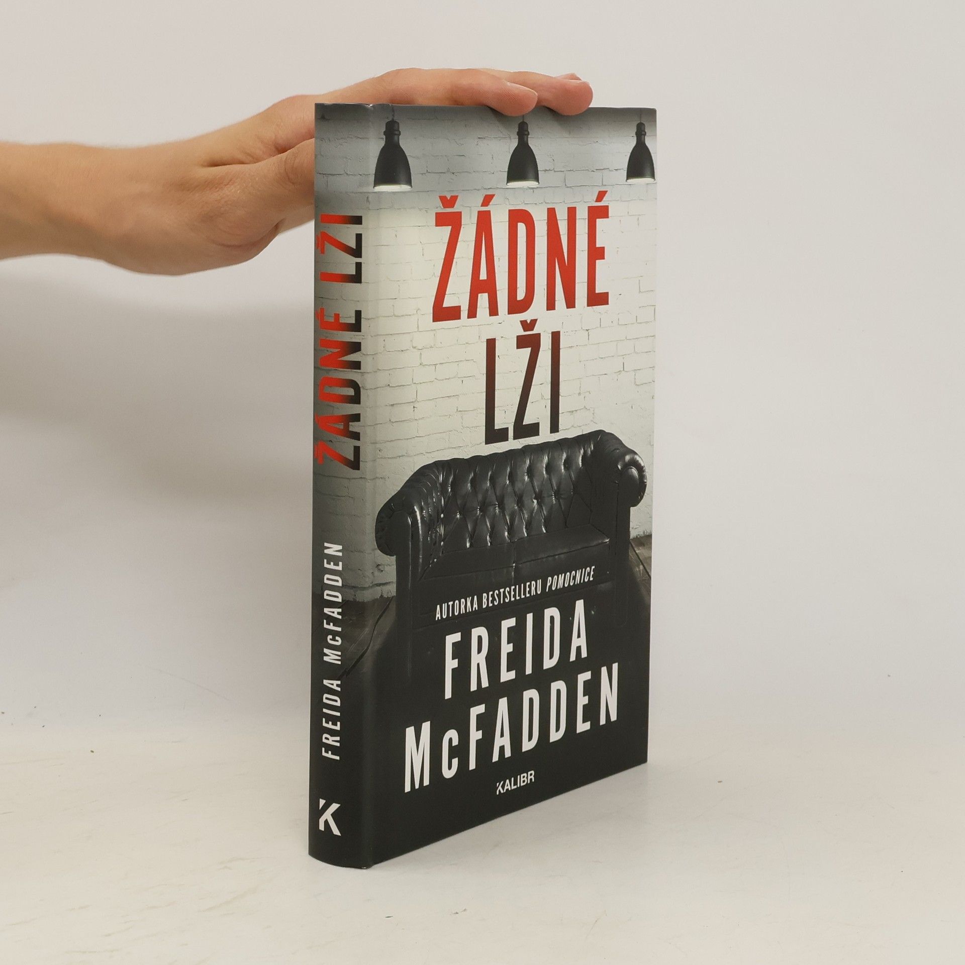 Freida McFaddenová Žádné lži