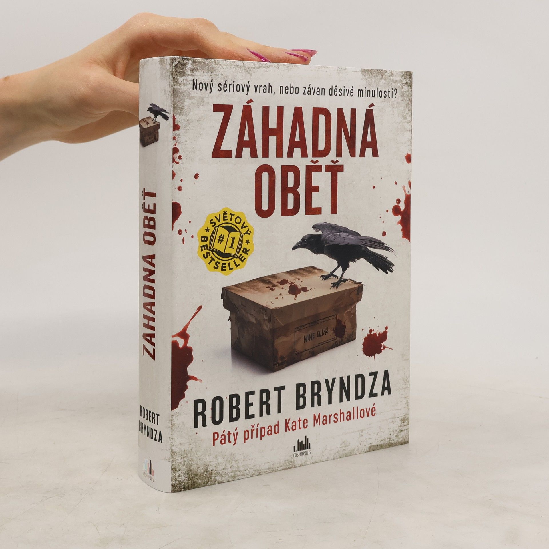 Robert Bryndza Záhadná oběť